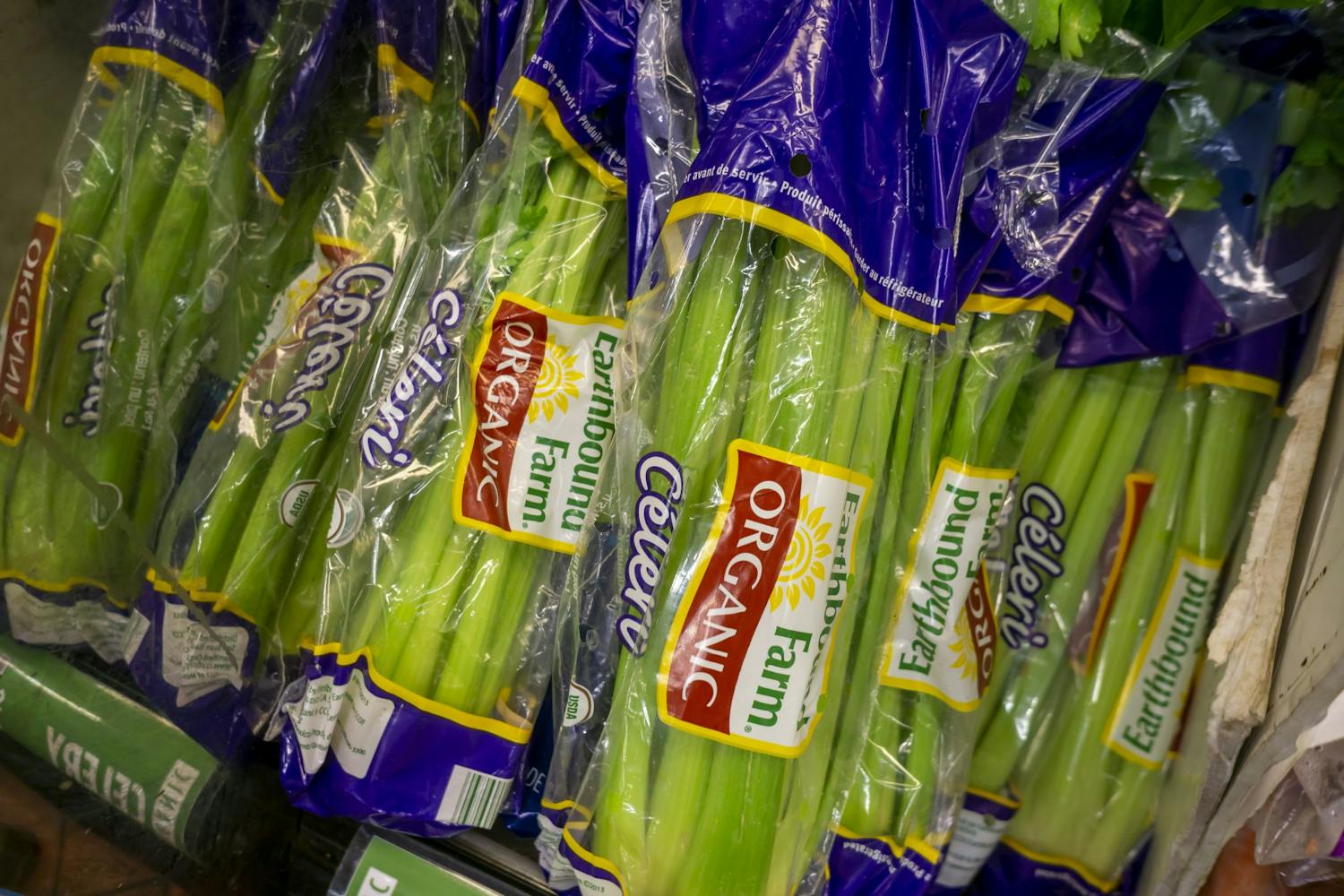 Is it true that we burn more calories chewing celery than are in it?