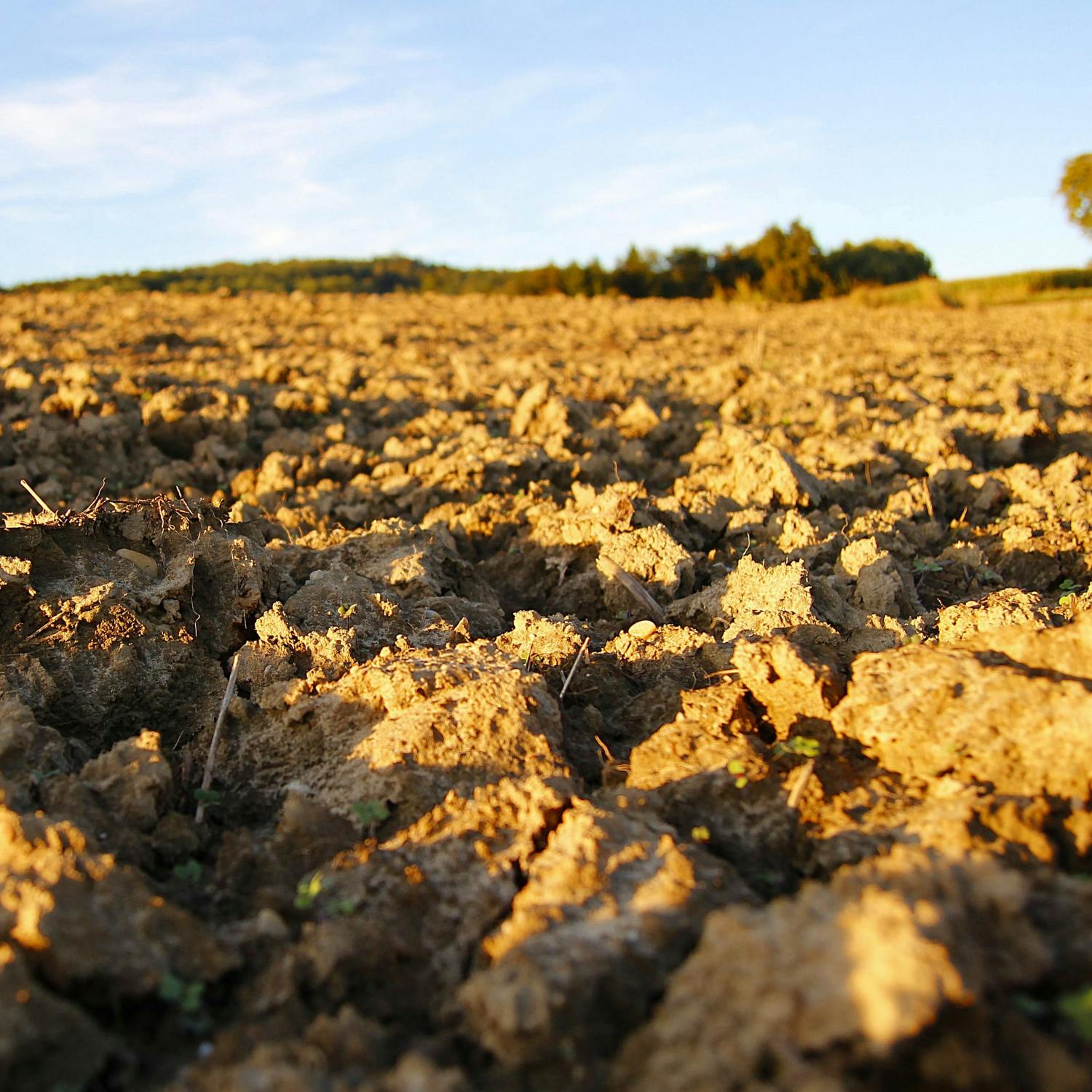 Drought tightens grip as farmers count mounting costs