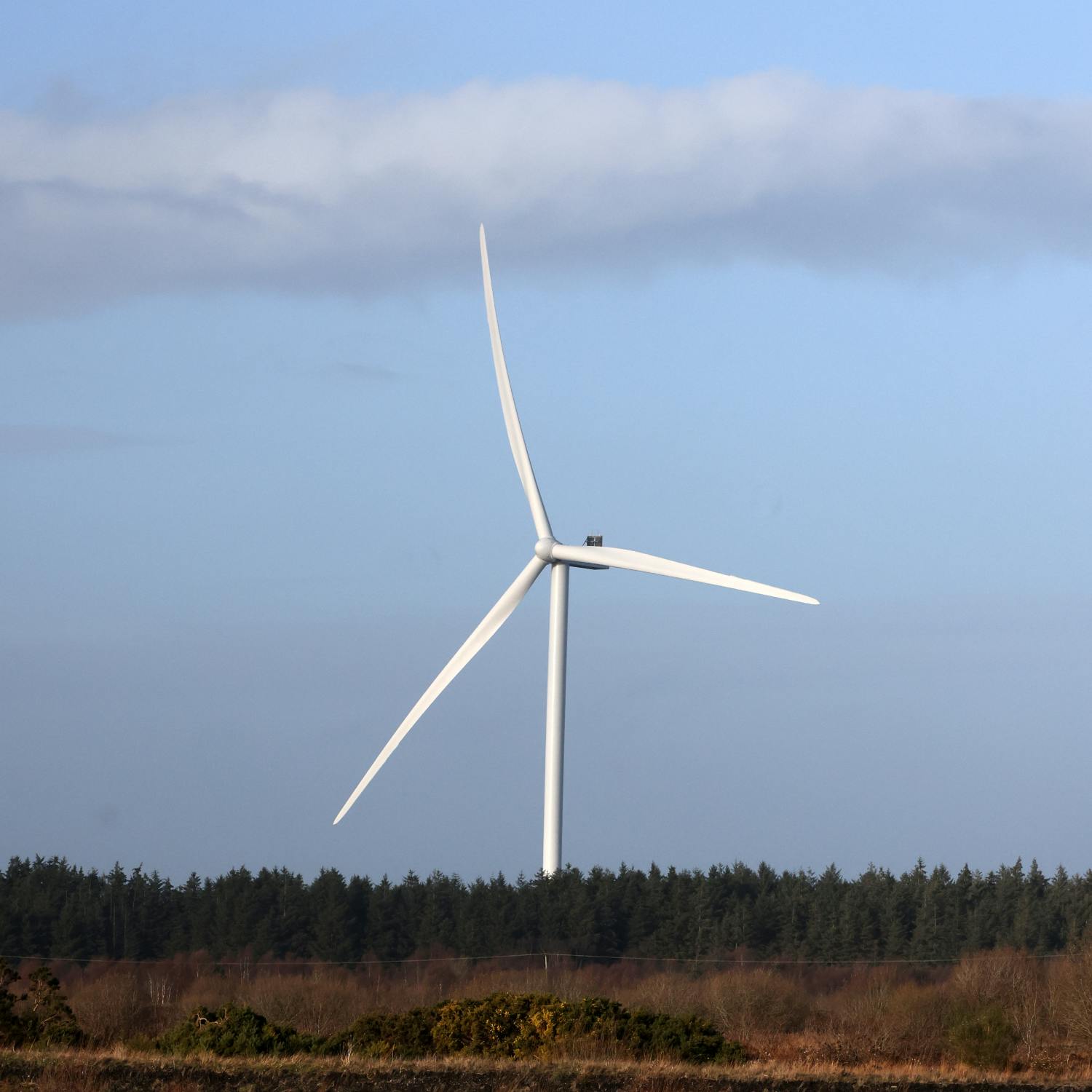 Ireland officially has the highest energy prices in the EU
