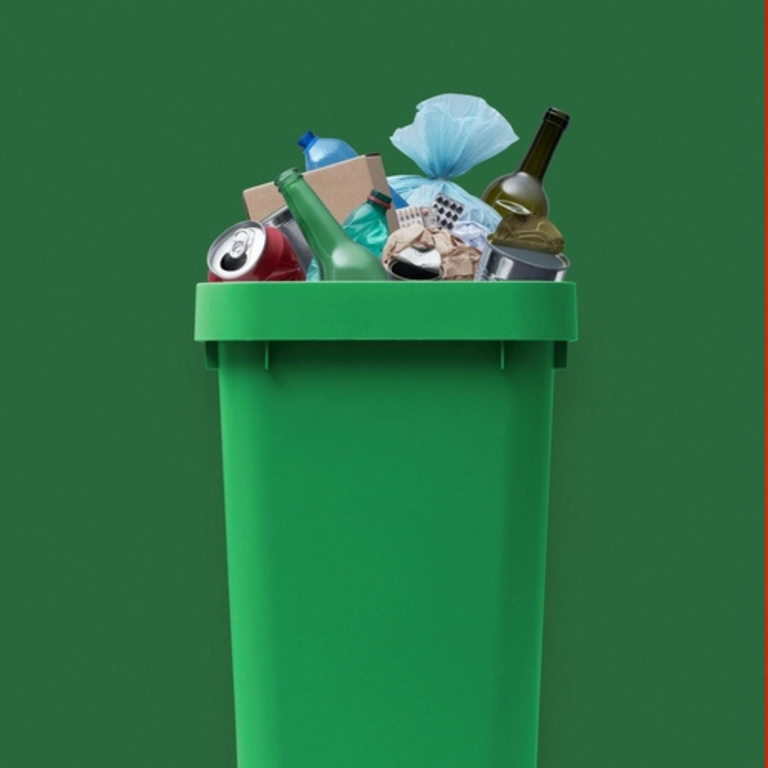 The price of your green bin could be going up