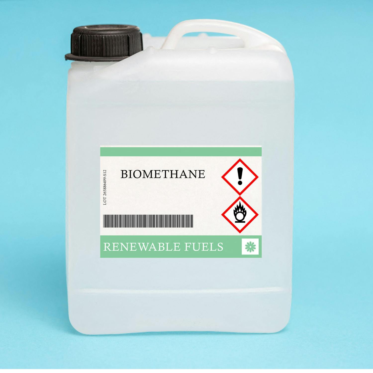 Biomethane as a renewable energy