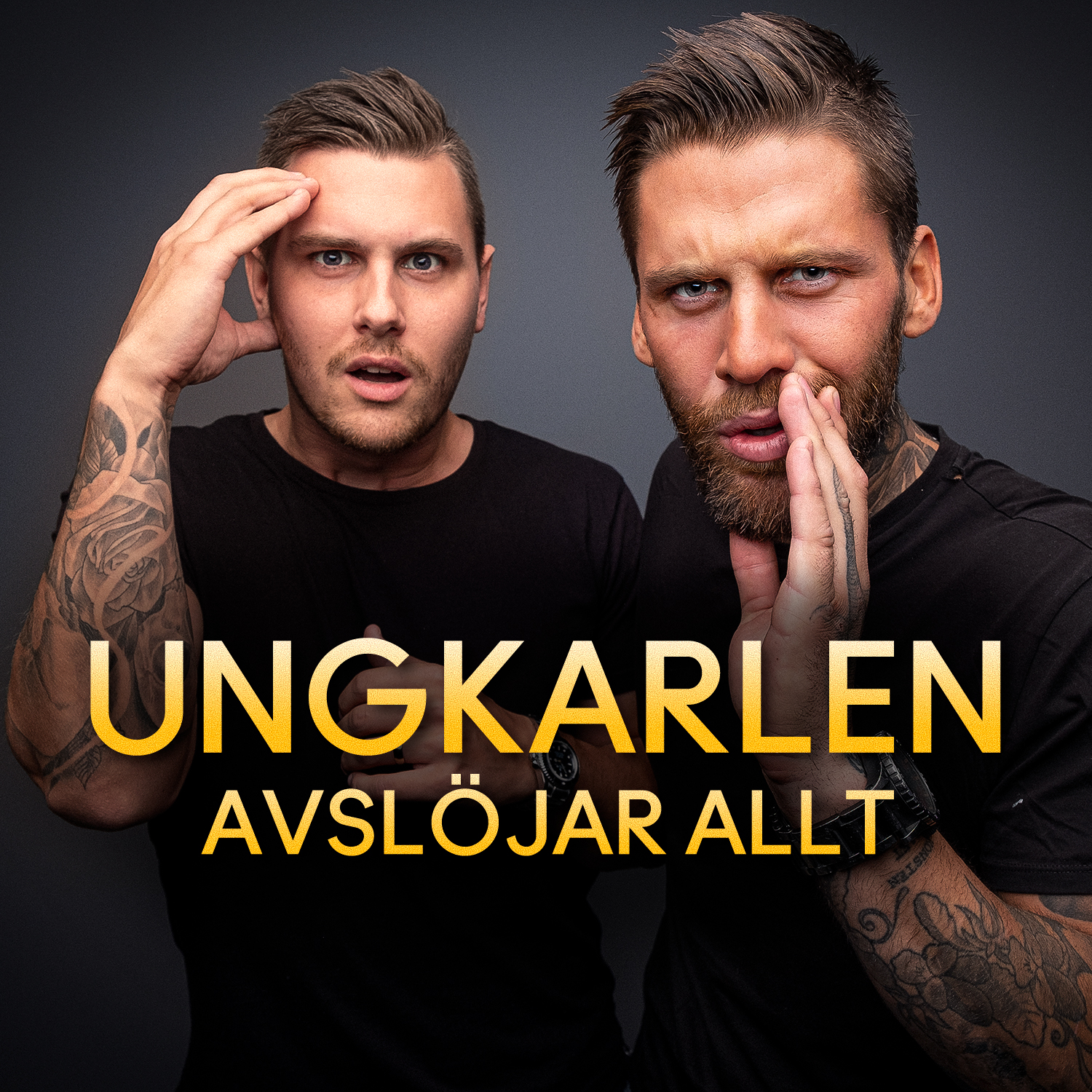 Ungkarlen Avslöjar Allt