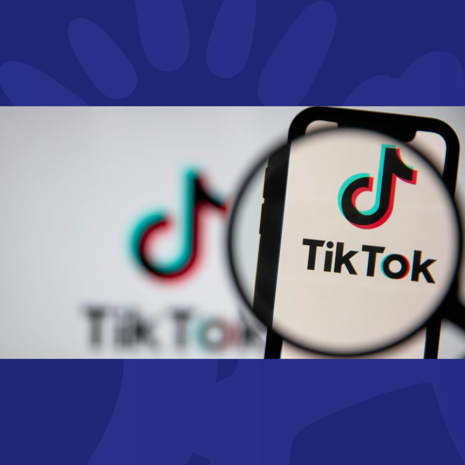 Comisúin Na Mean To Investigate Tik Tok Over Election Integrity