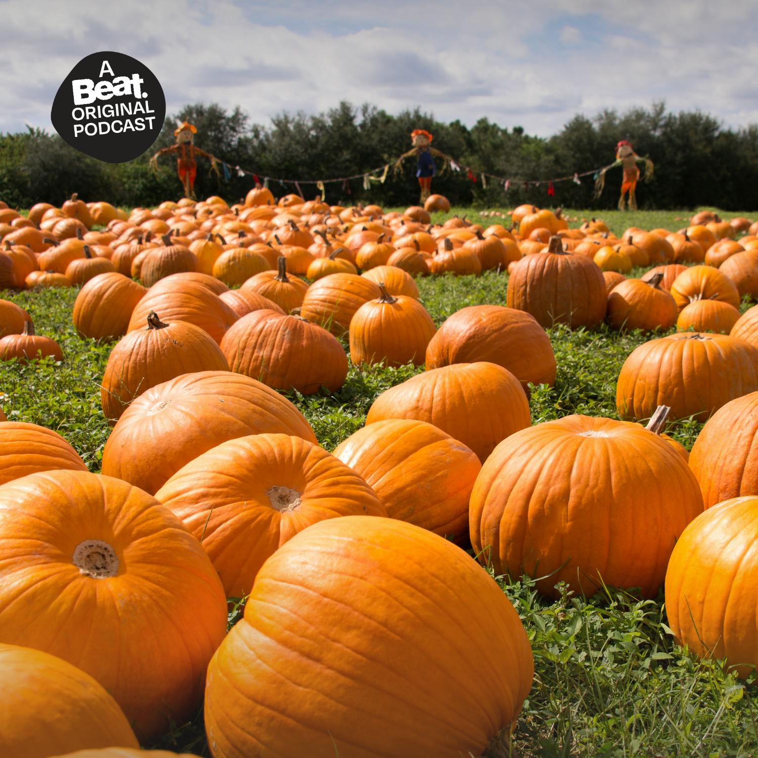Crookett Pumpkin Patch fundraiser