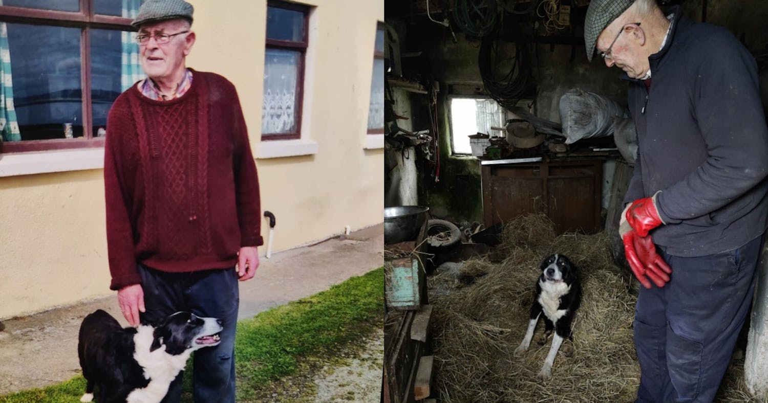Born in 1995: Owner Reveals What Oldest Dog In Ireland 'Skippy' Eats episode artwork