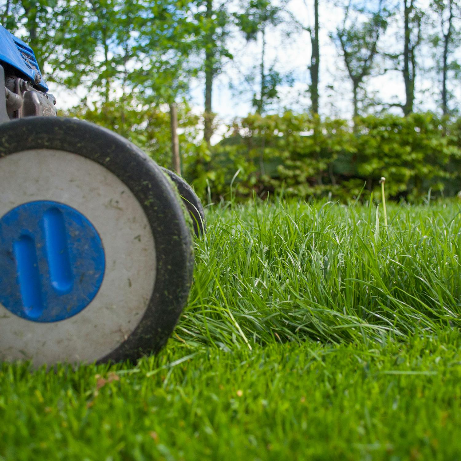 So You Think You’re an Adult: The great grass cutting debate episode artwork