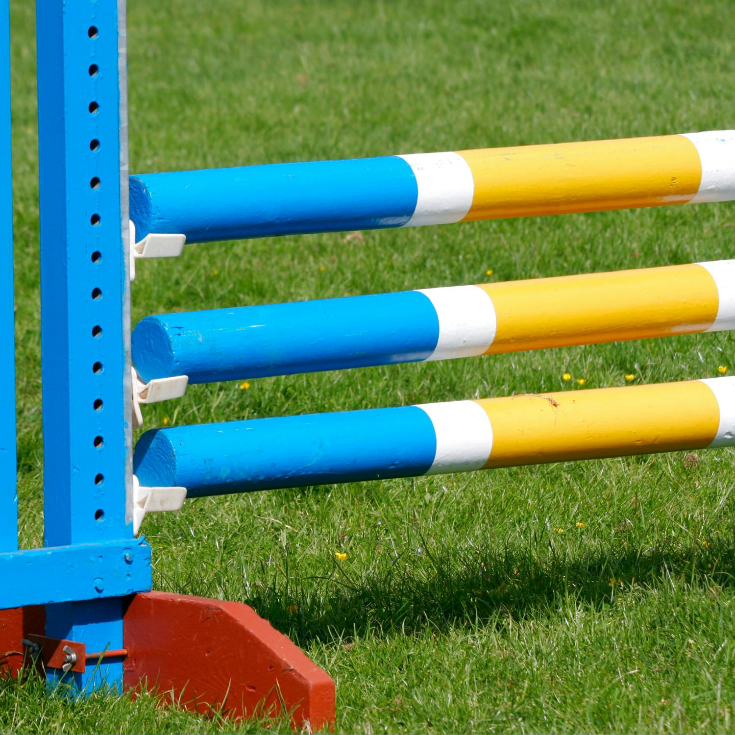 Army showjumping  horse fails drugs test after qualifier for RDS
