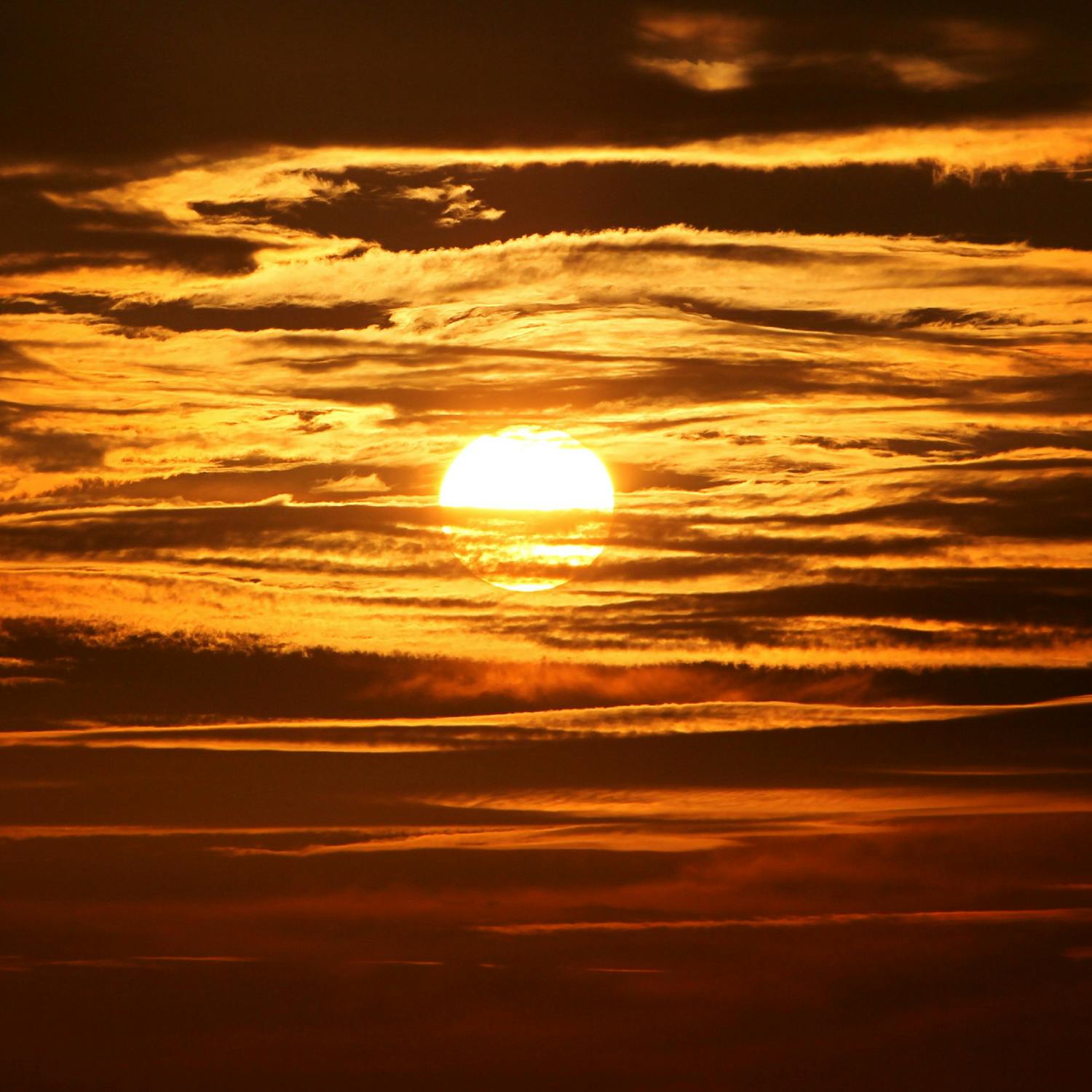 How I Live Well: Vitamin D