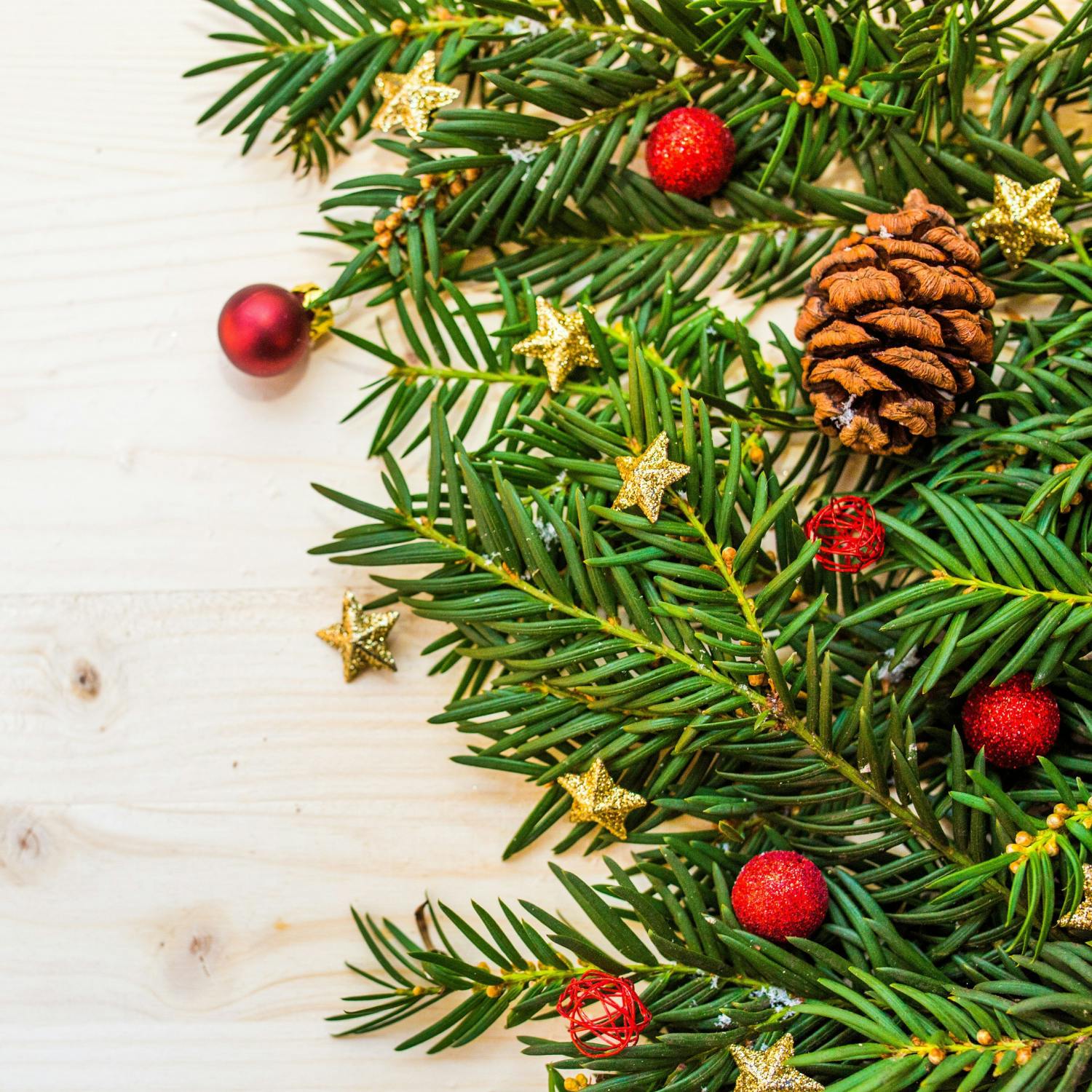 How do you look after your Christmas tree?