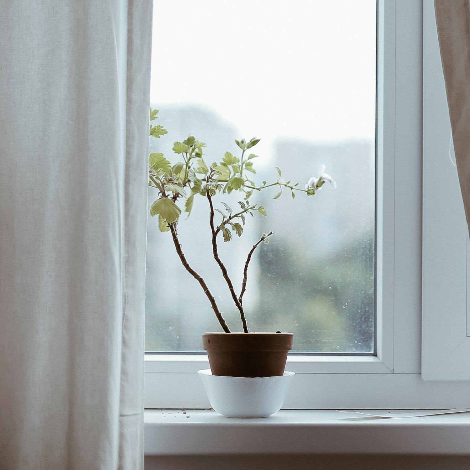 Is shouting good for your mental health?