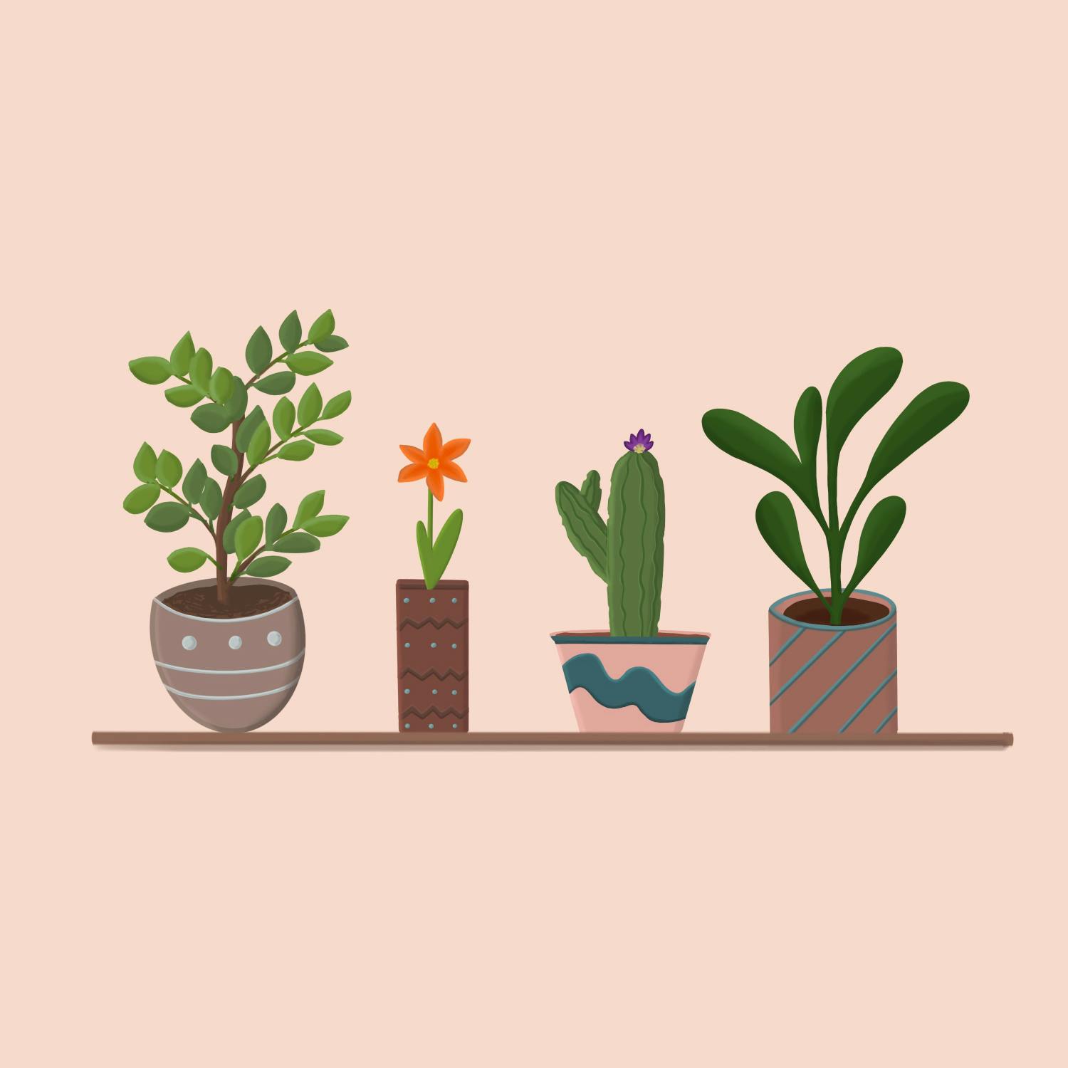 The Home Squad: Shelves!