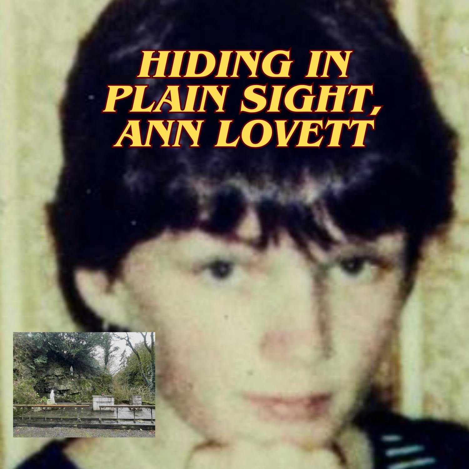 Hiding in Plain Sight, Ann Lovett Hiding in Plain Sight, Ann Lovett