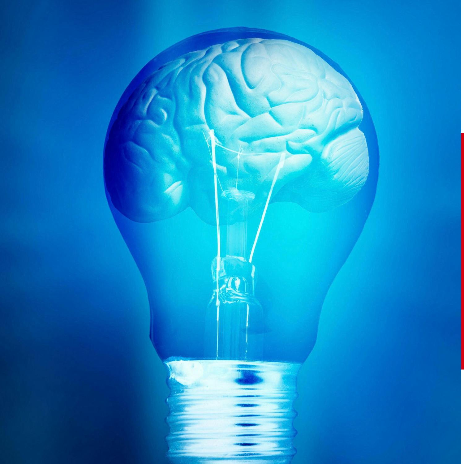 Powerful link between nutrition, vision, and brain health 