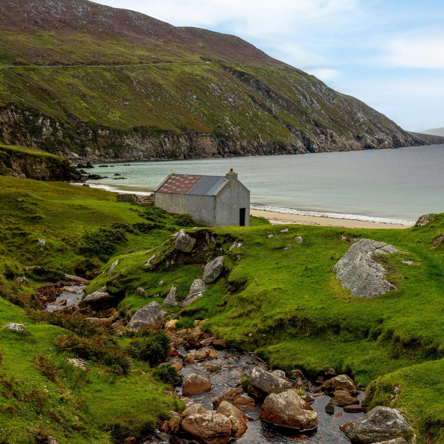 The Ultimate Guide: Mayo