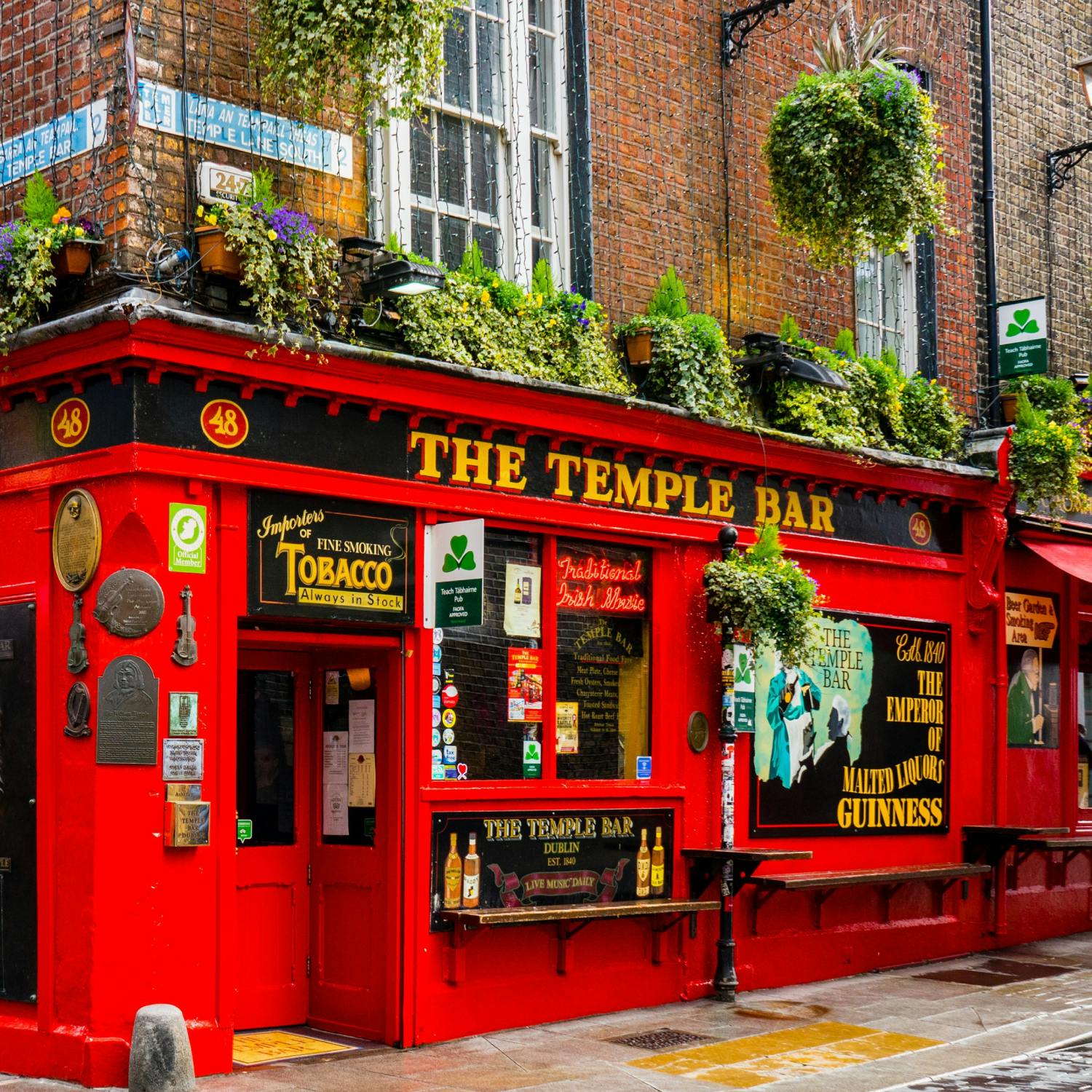 Temple Bar turns 35! - Josh Crosbie Reports