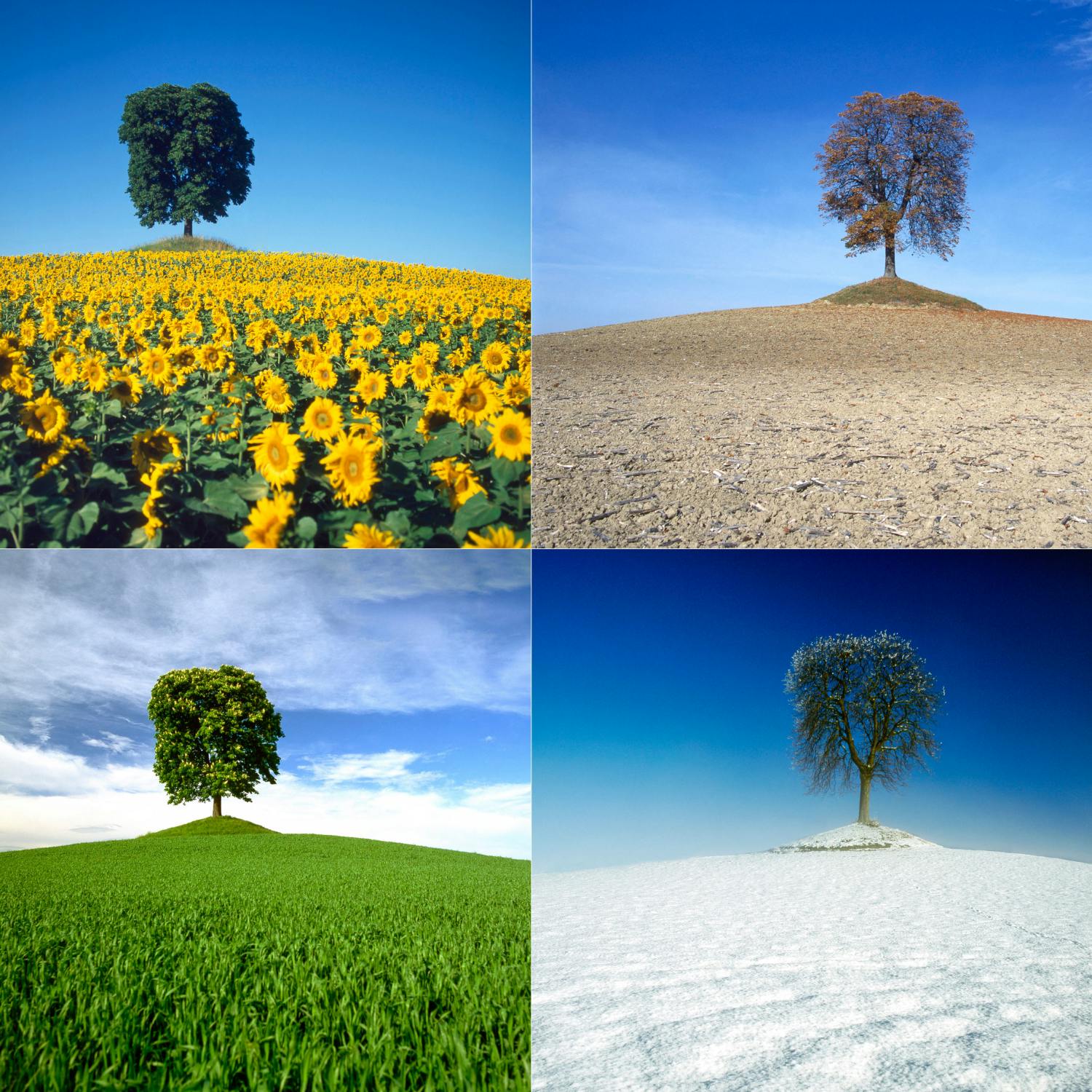 Should you be following the seasons with your diet?