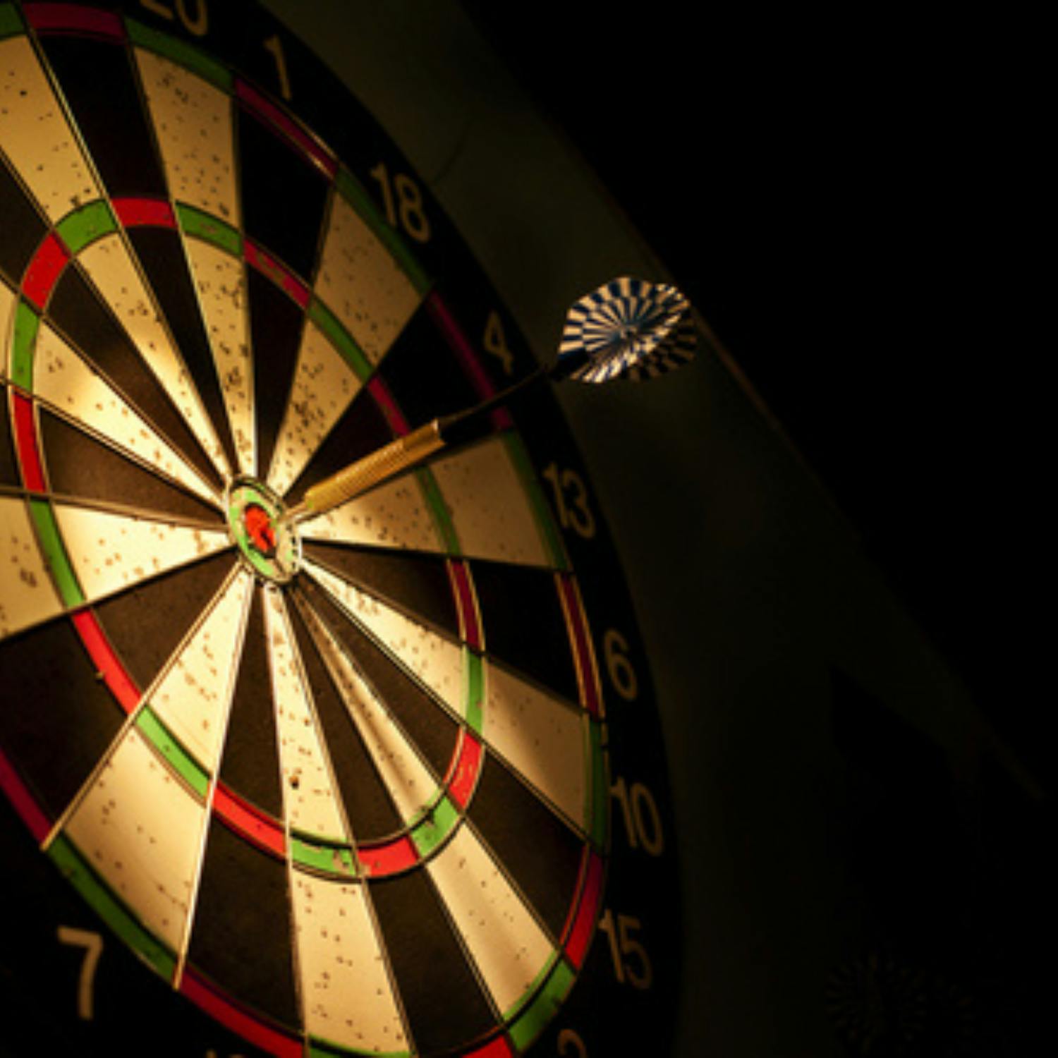 The 16-year-old darts hero