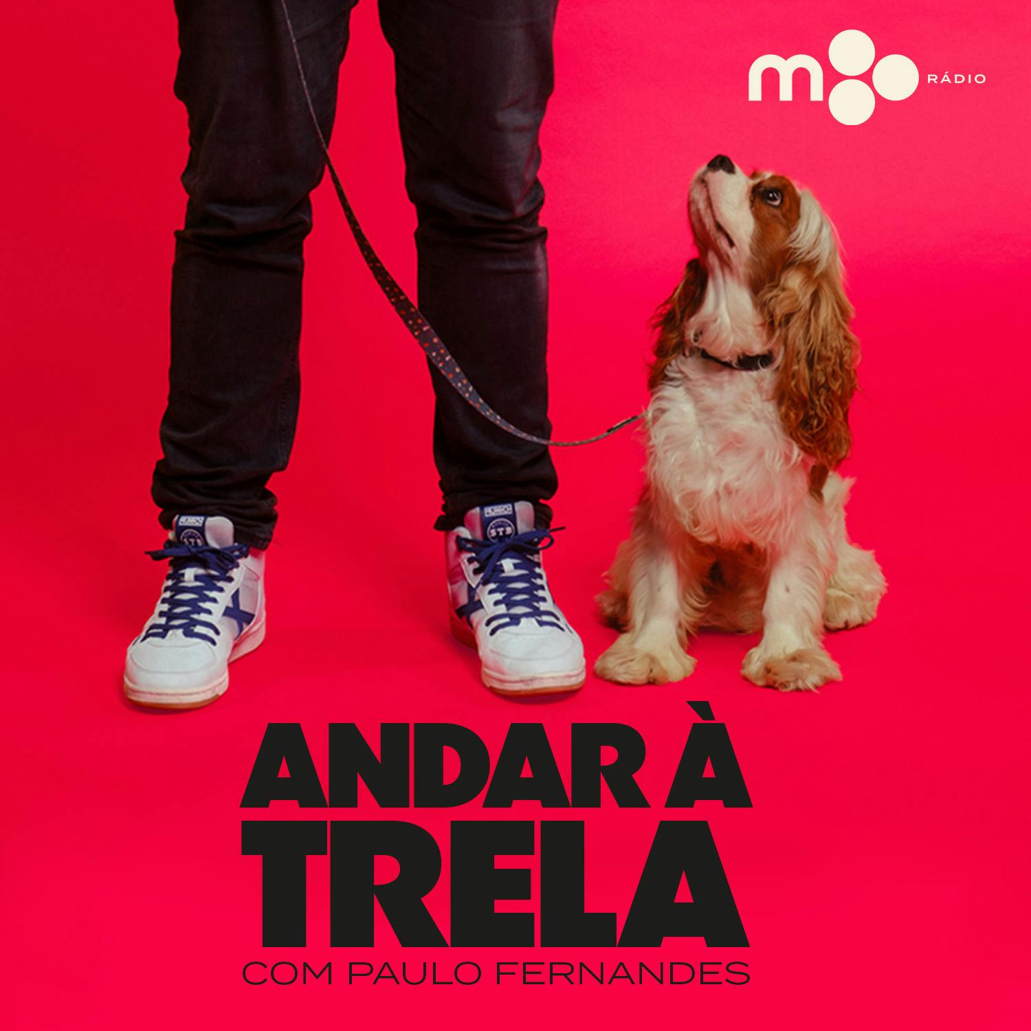 Andar à Trela