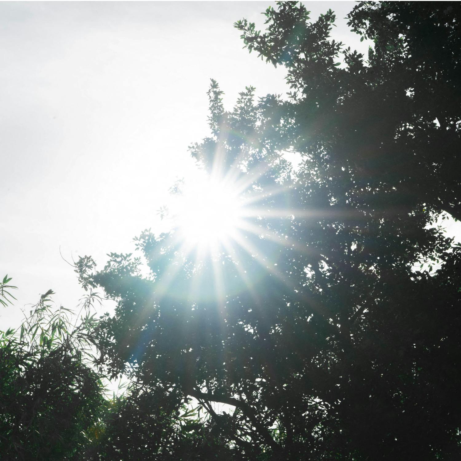 The warm weather is returning this week!