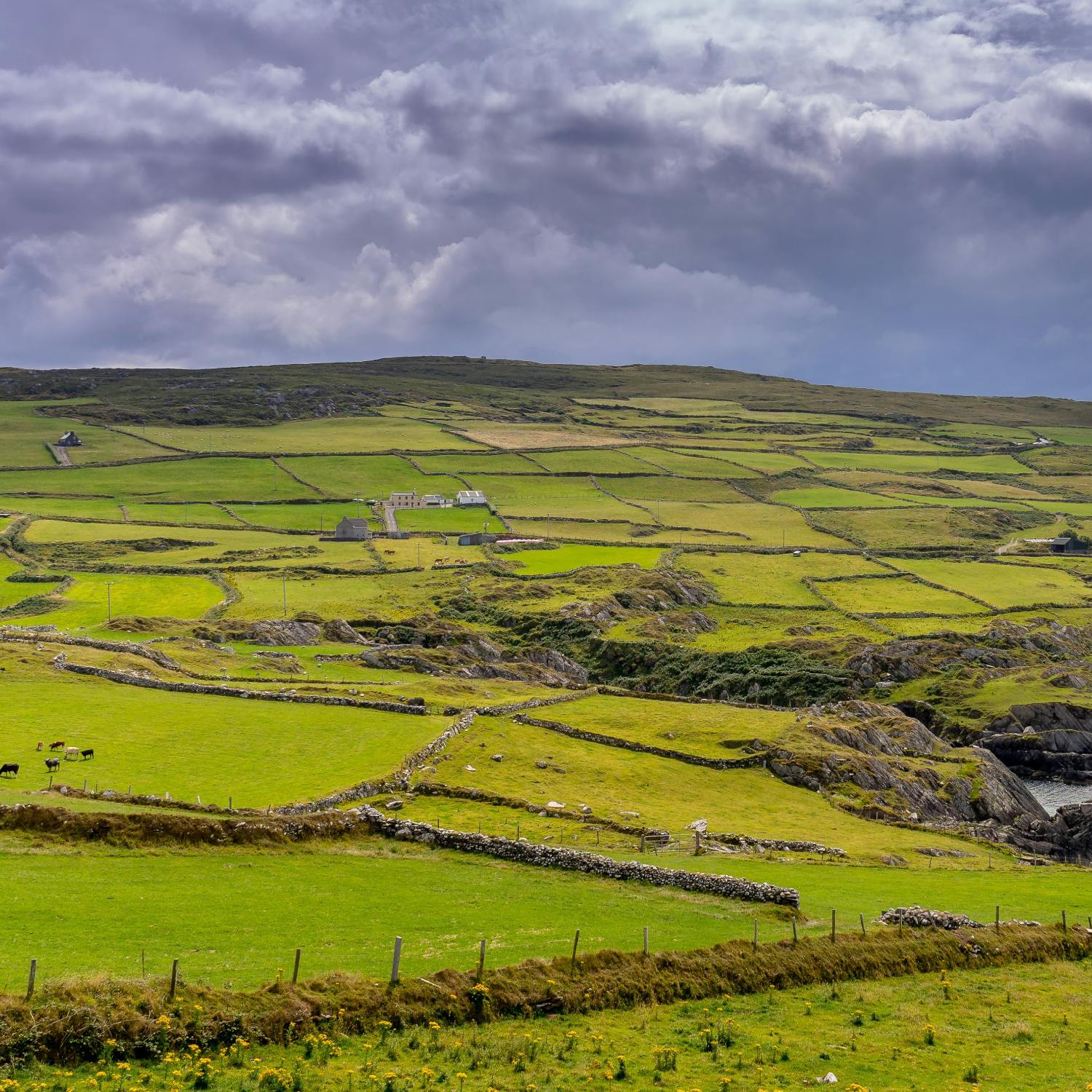 Is one-off rural housing unsustainable?