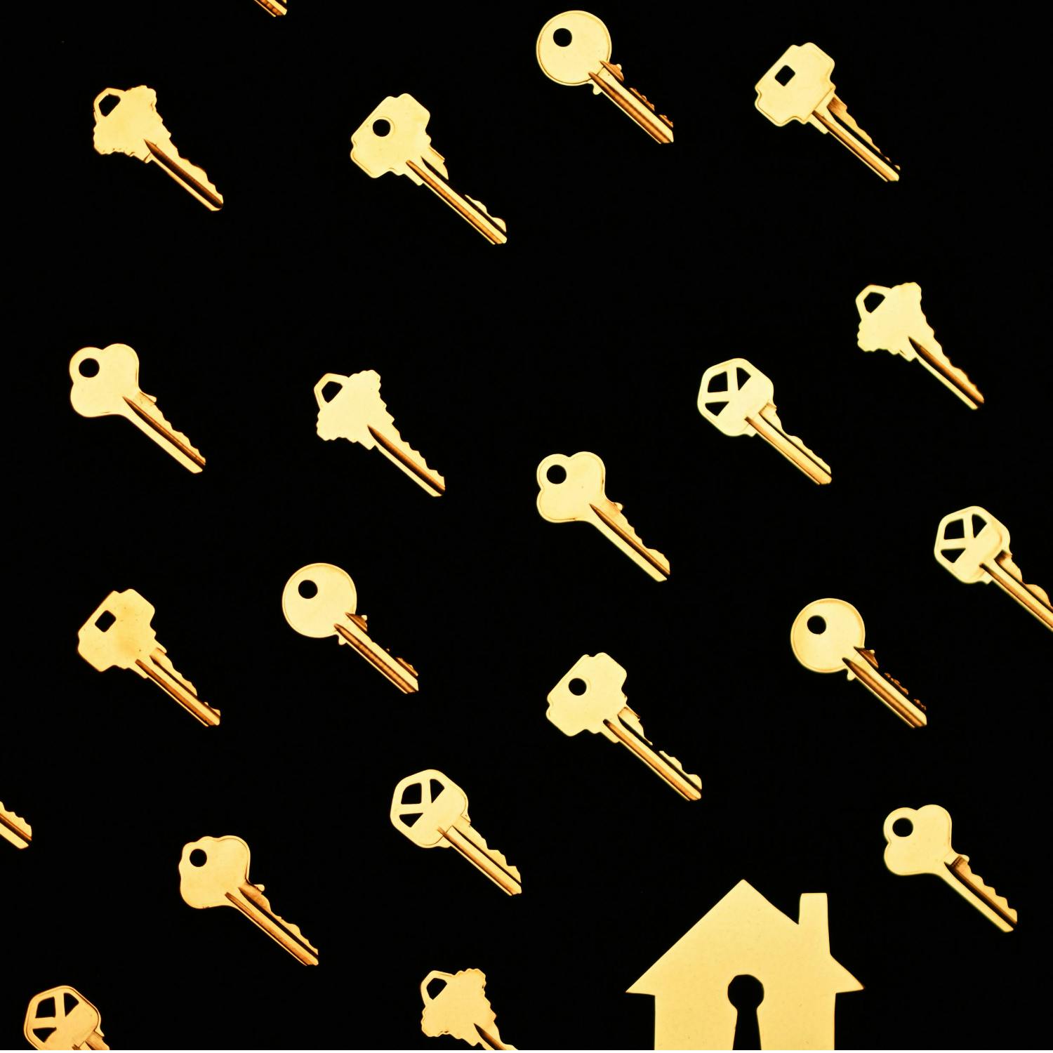 DCC social housing recipients data includes nationality and citizenship Image