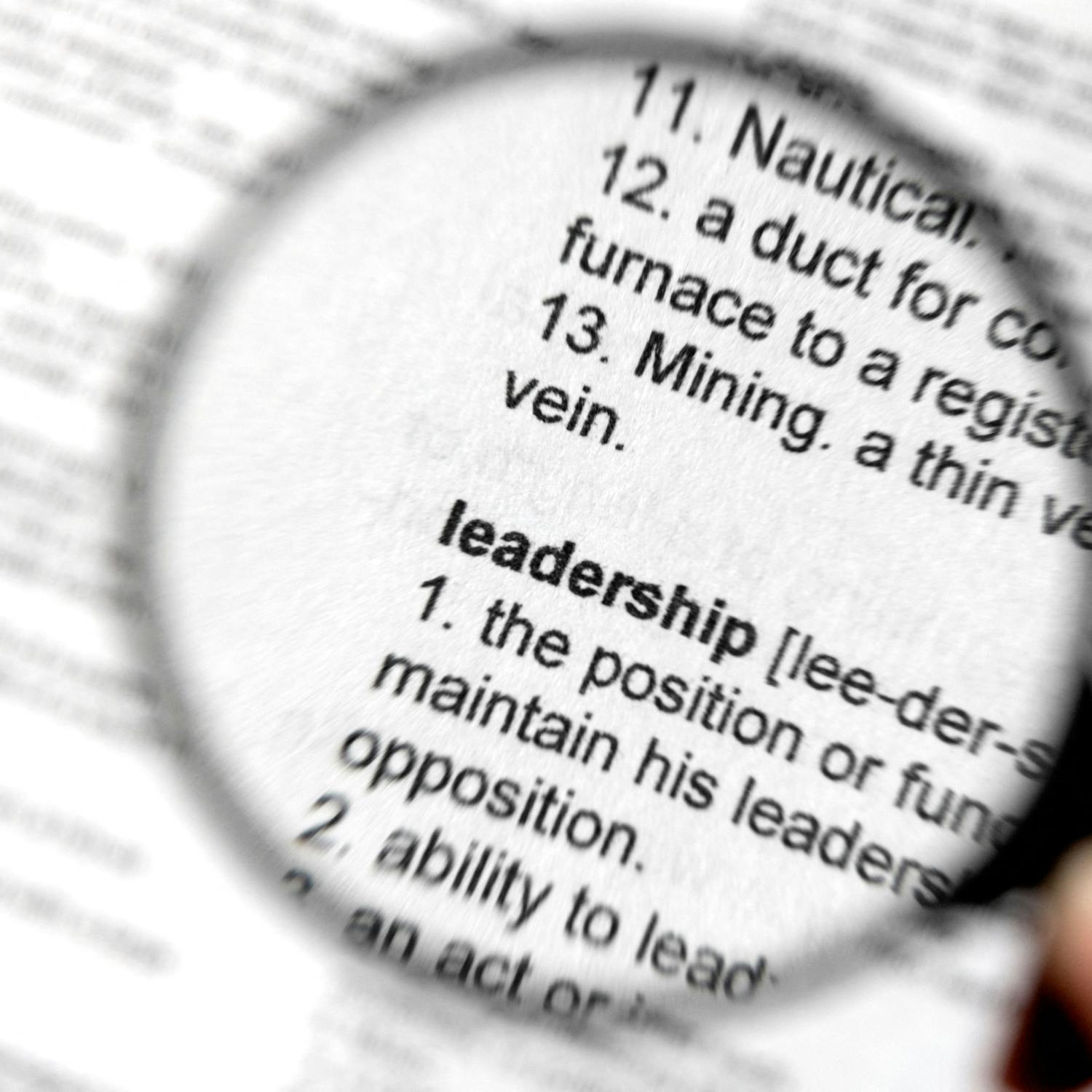 DASH Leaders s leadership development platform