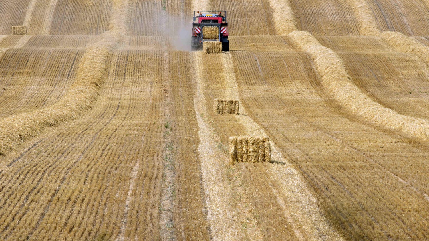 Farming with Mairead Lavery