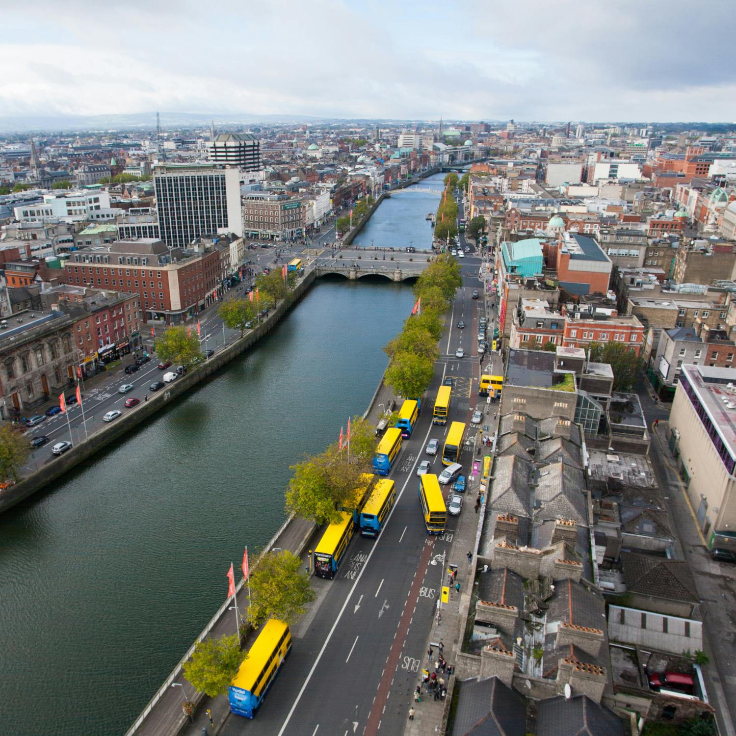 Report: Dublin's vehicle ban sparks concerns
