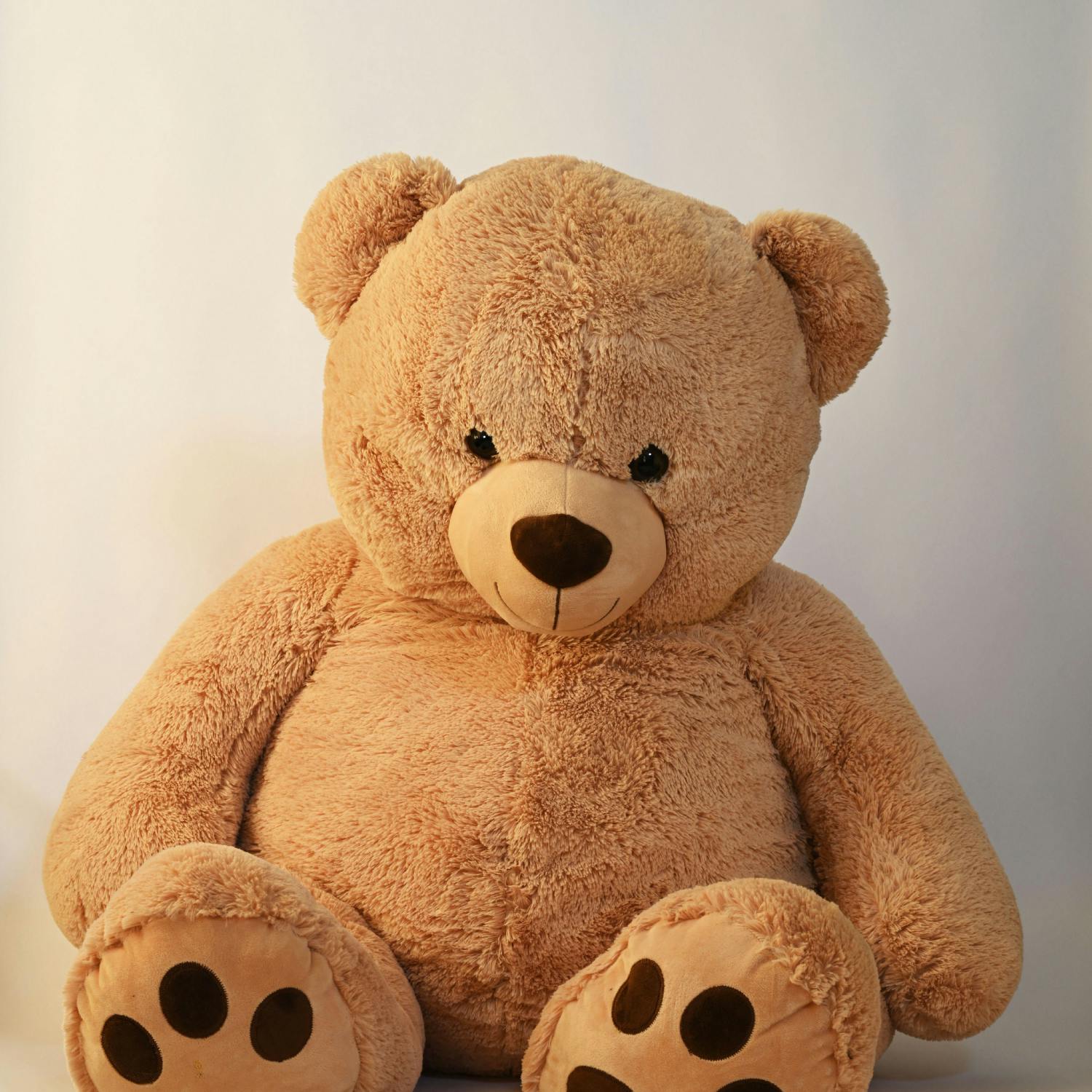 Celebrating National Teddy Bear Day!