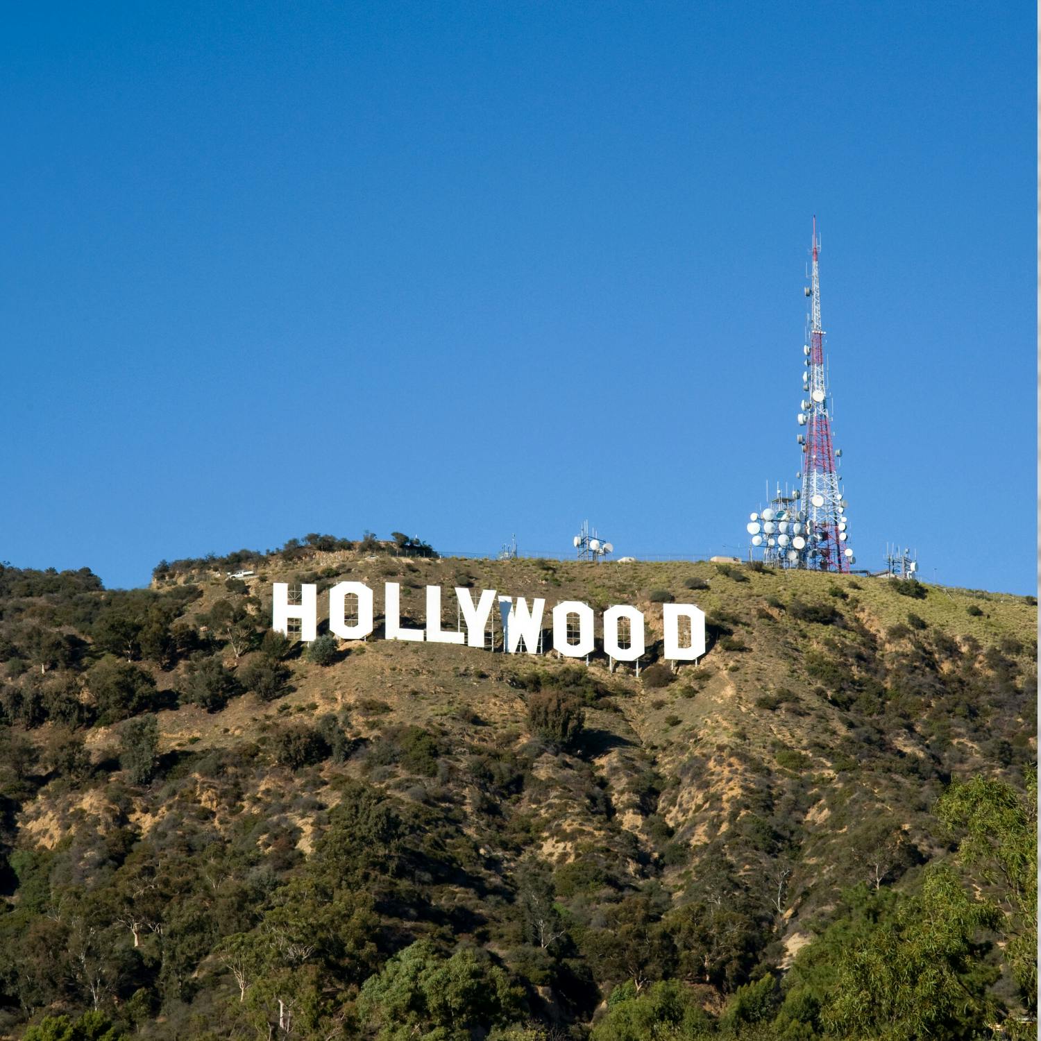 Inside Hollywood: Actors didn’t choose their iconic roles they endured them