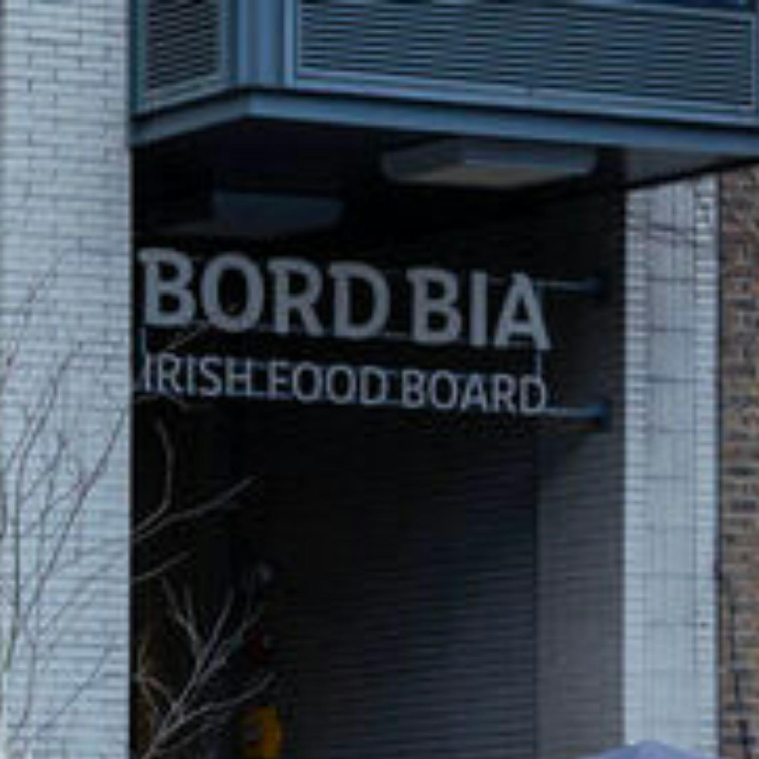 "IFA 5” still protesting within the  Bord Bia headquarters episode artwork