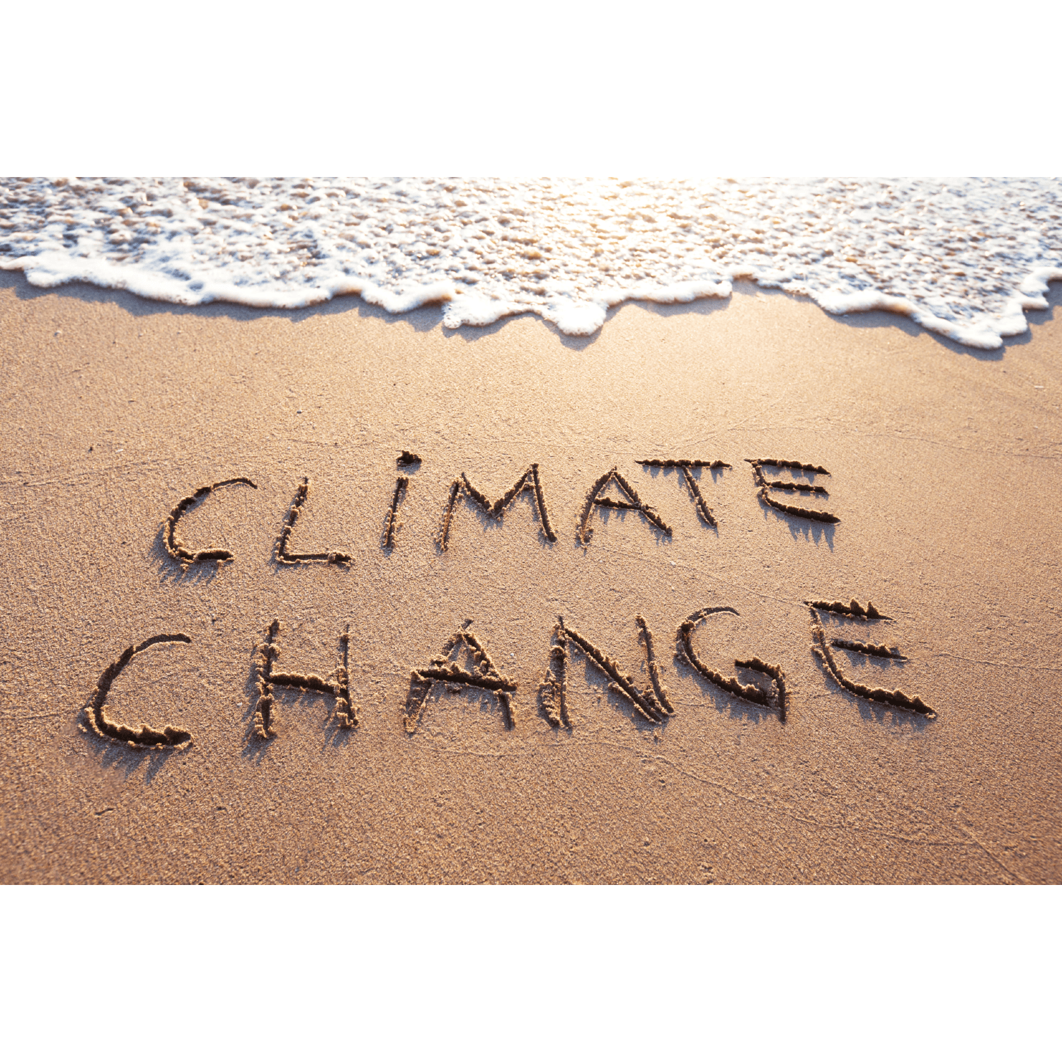Calls to address household emissions and reduce exposure to fossil fuel price volatility