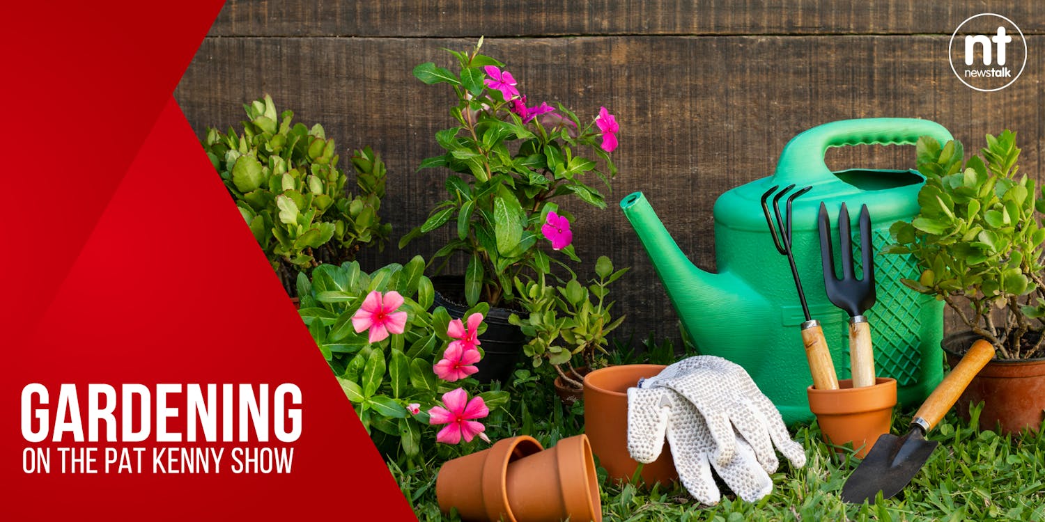 Gardening with Paraic: A sneak preview of the return of bloom in the park 2022