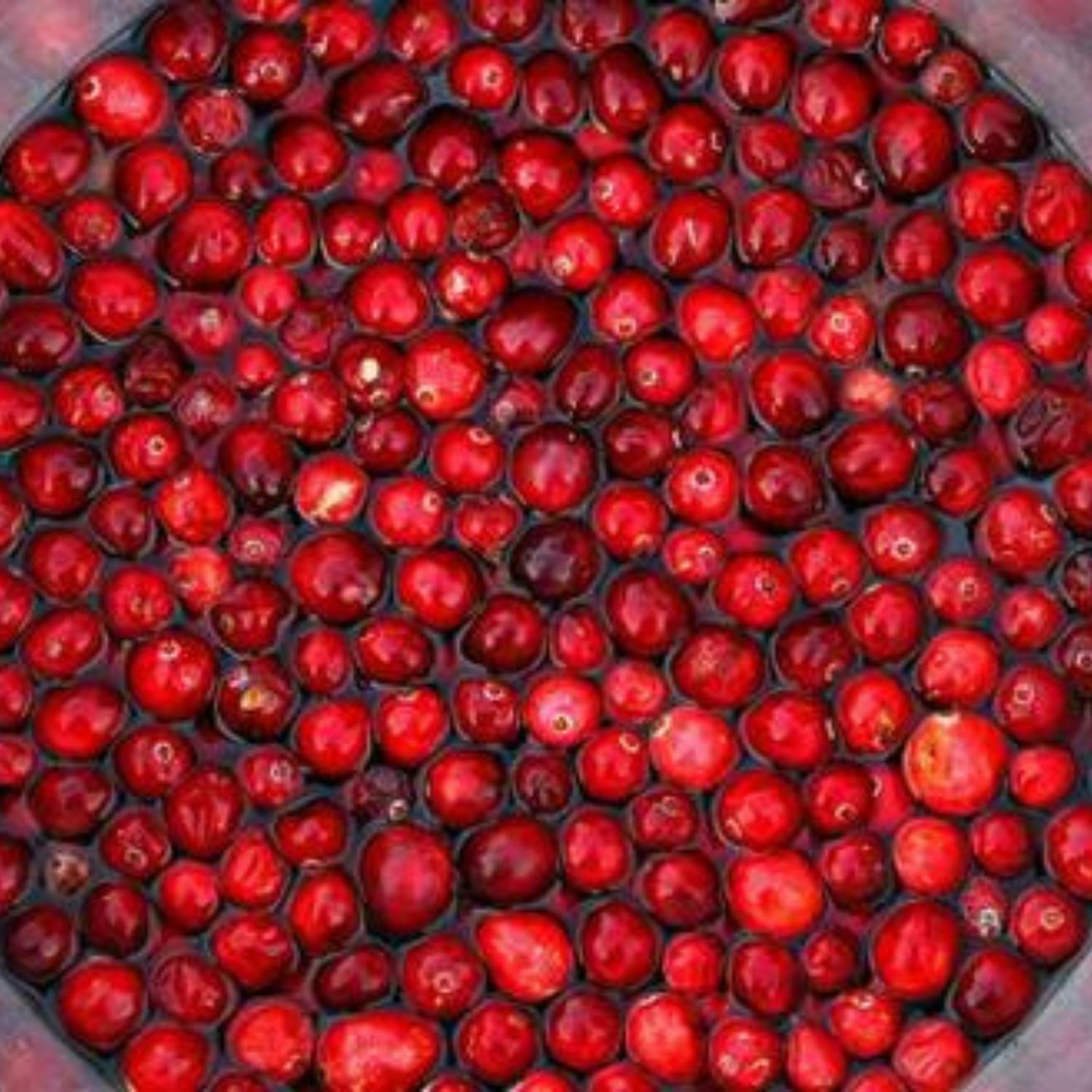 Breakfast Business with Joe Lynam