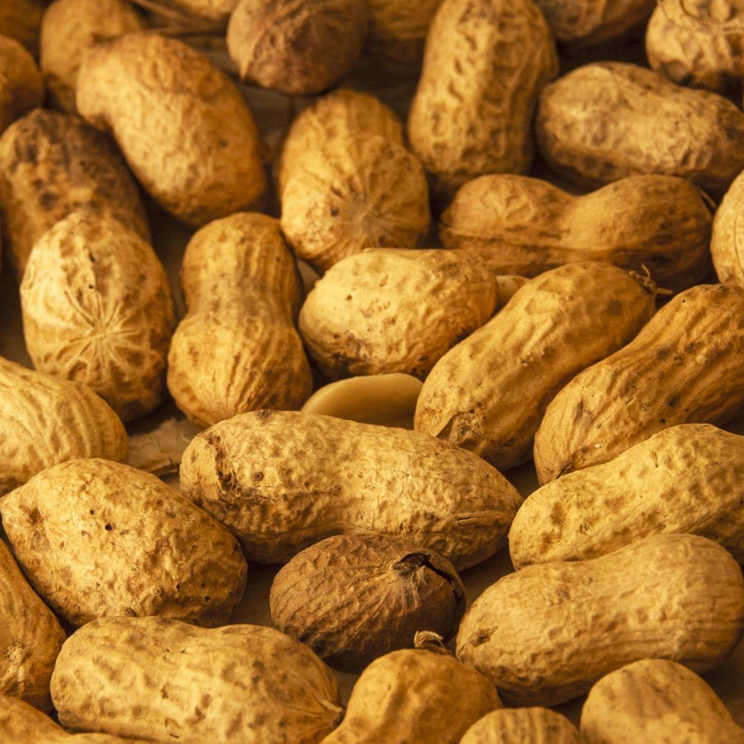 Should eating peanuts in public be banned?