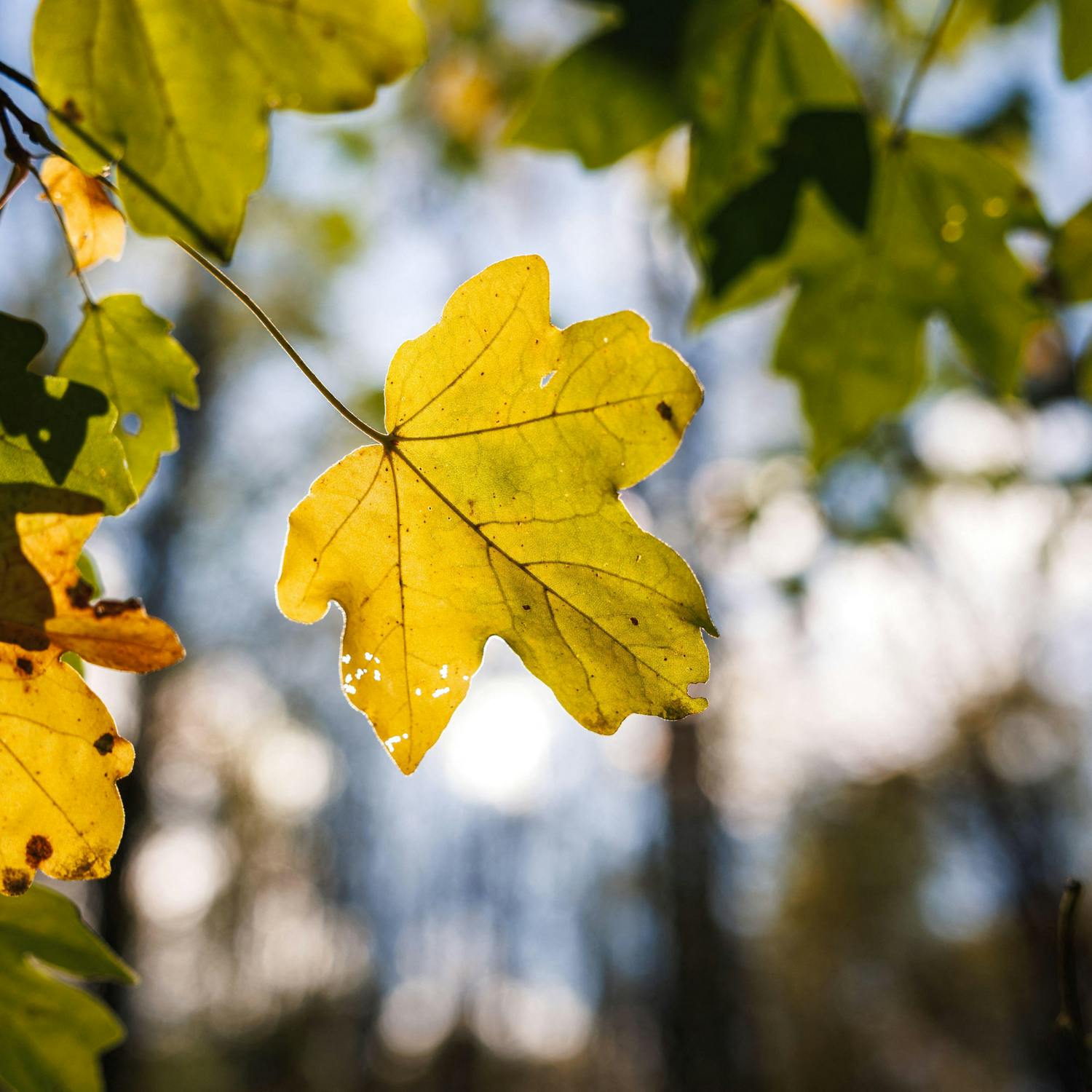 How long will the warm weather last?