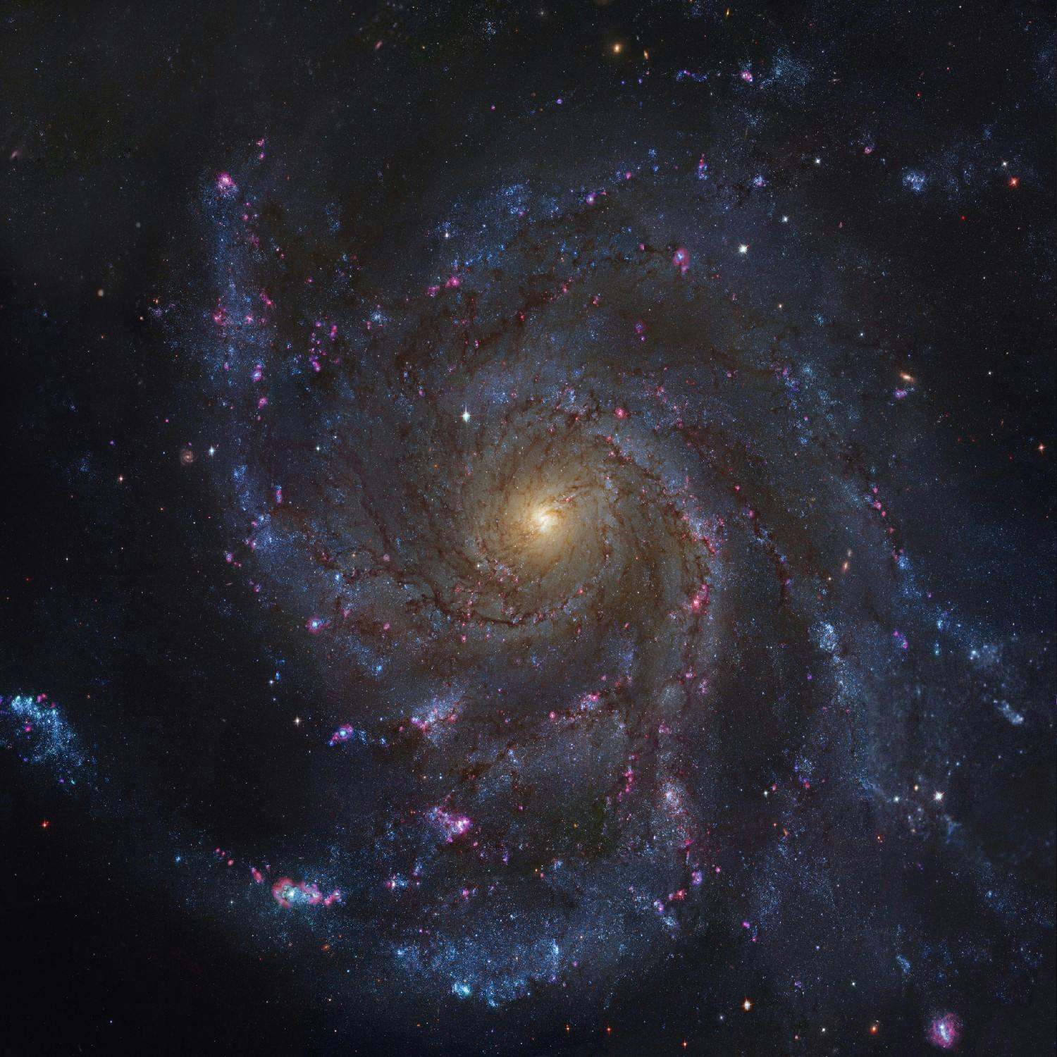 Guide To The Galaxy: The Milky Way
