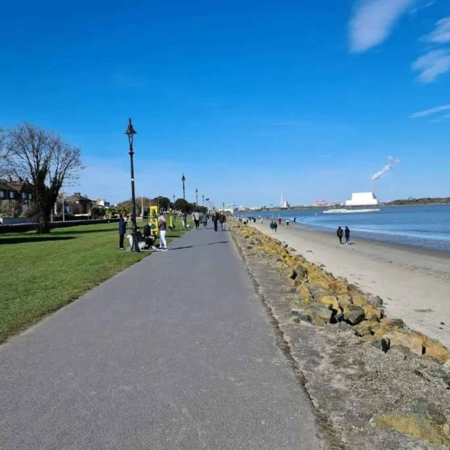 *Exclusive* A Dog "Attacked" child in Sandymount.. And We Know The Owner episode artwork