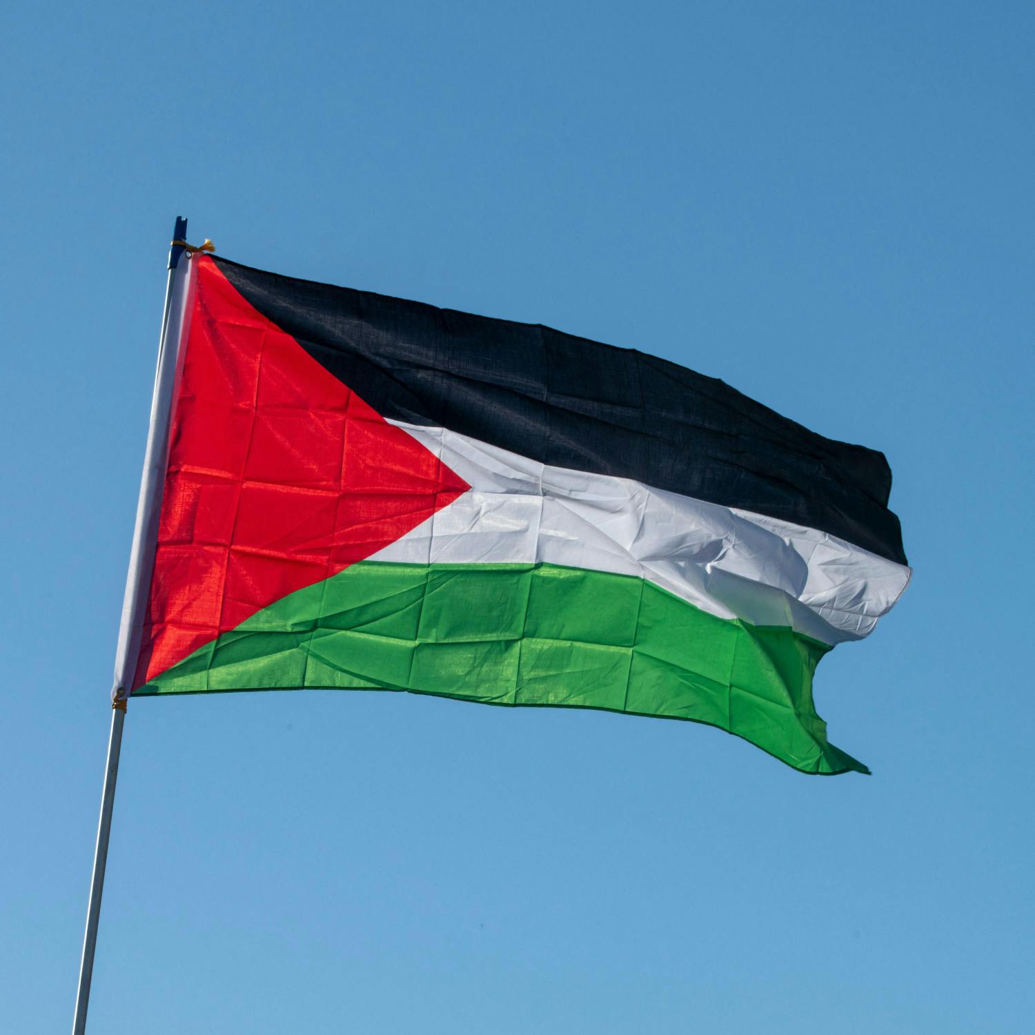 Student from Gaza shares experience of studying in Ireland