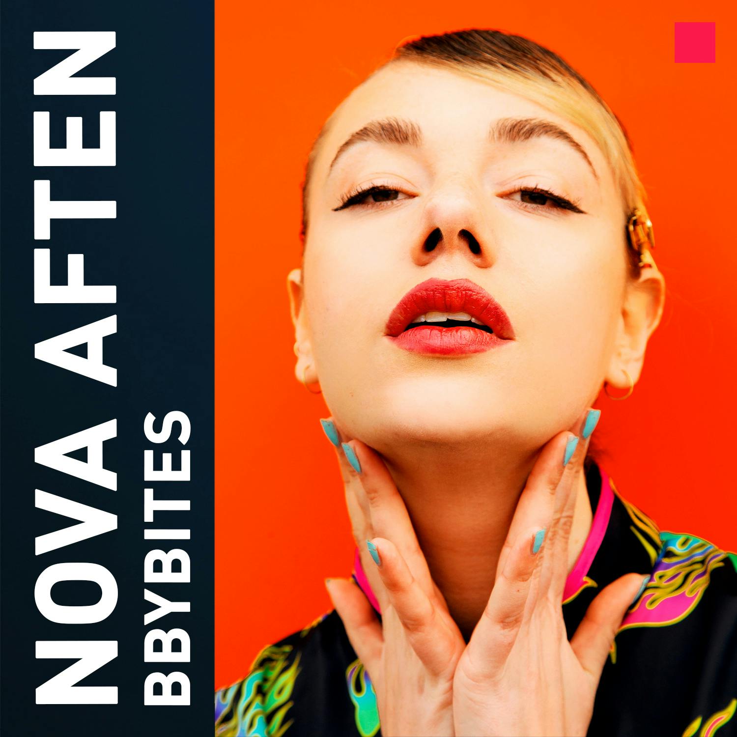 NOVA Aften Reunion: Bbybites NOVA Aften Reunion: Bbybites