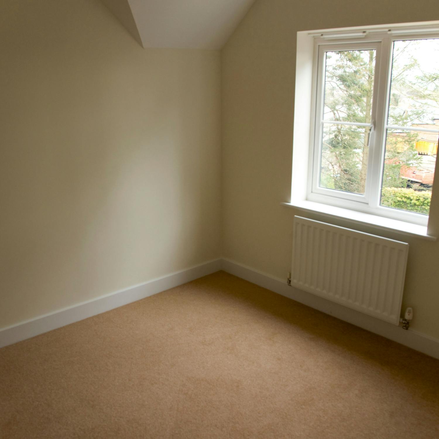 The Home Squad: Spare Room