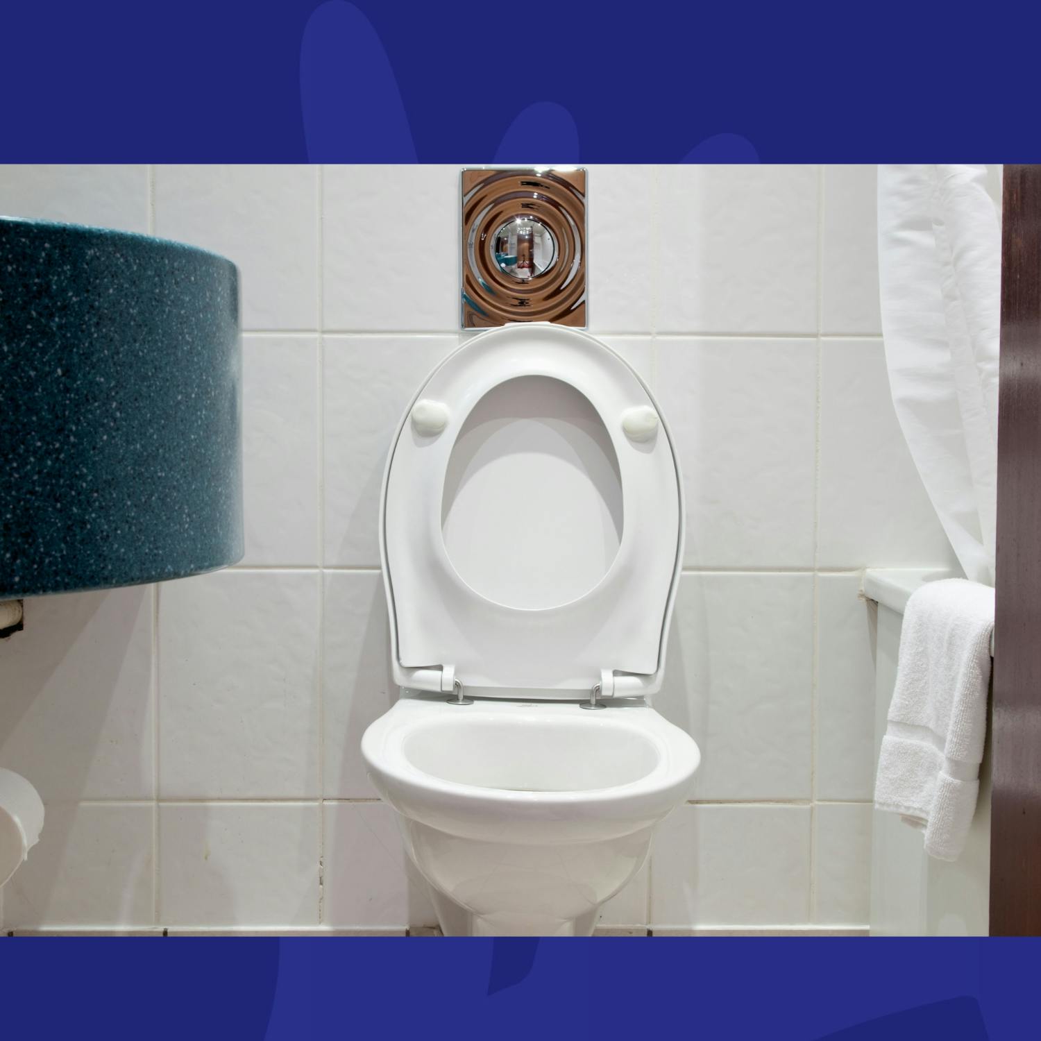 What Does It Sound Like When You Duet With A Toilet?