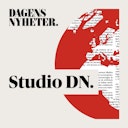 Studio DN