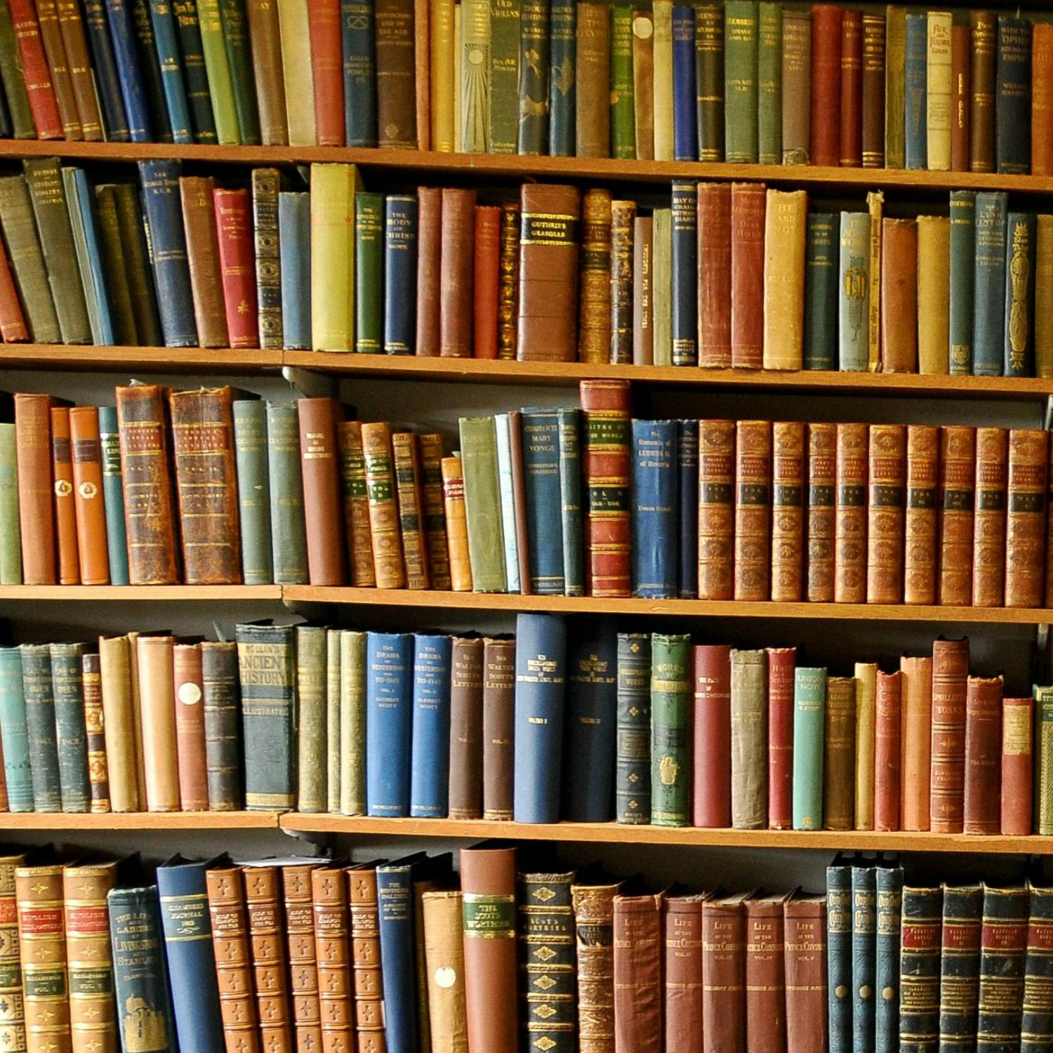 The Bookshelf with Andrea Mara