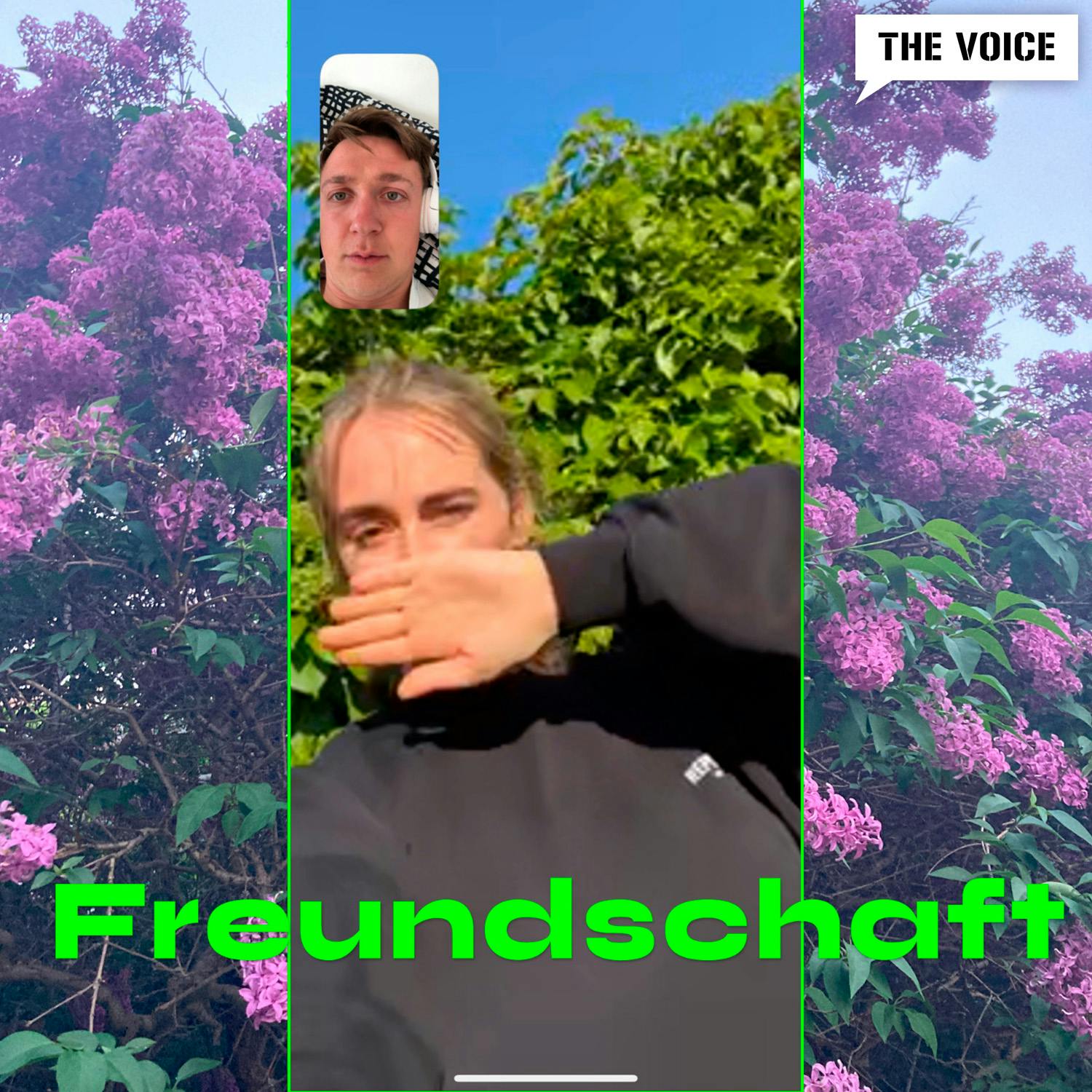 Freundschaft & friends