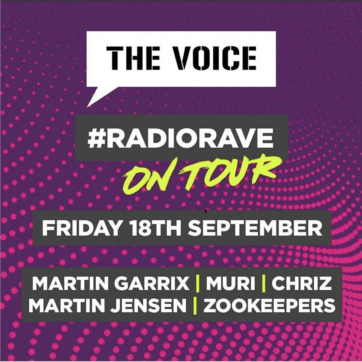 The Voice In The Mix