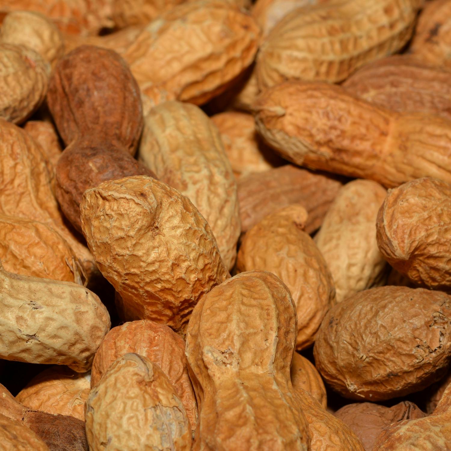 Should food allergies be a public health issue?