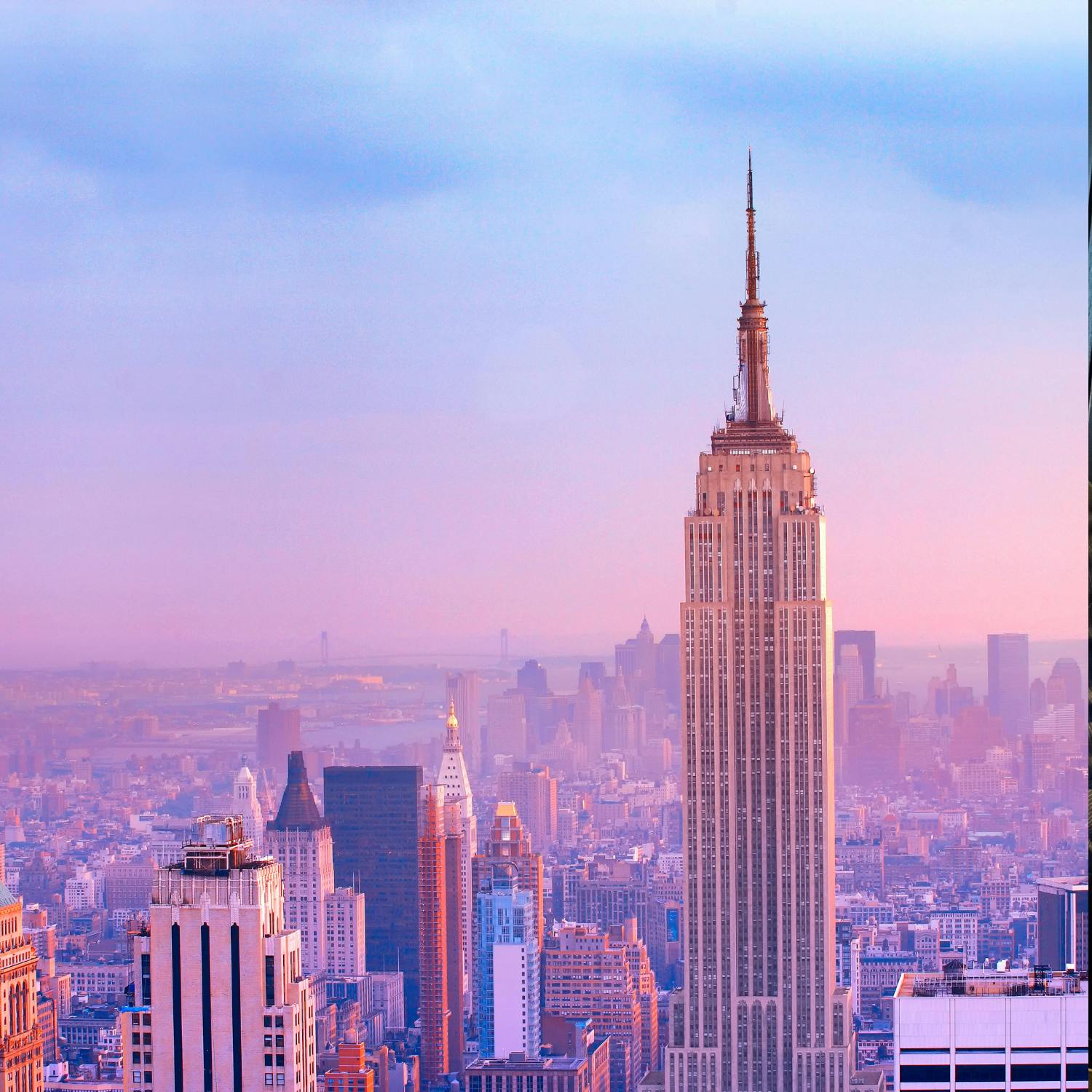 Who is in the running for New York Mayor? Who is in the running for New York Mayor?