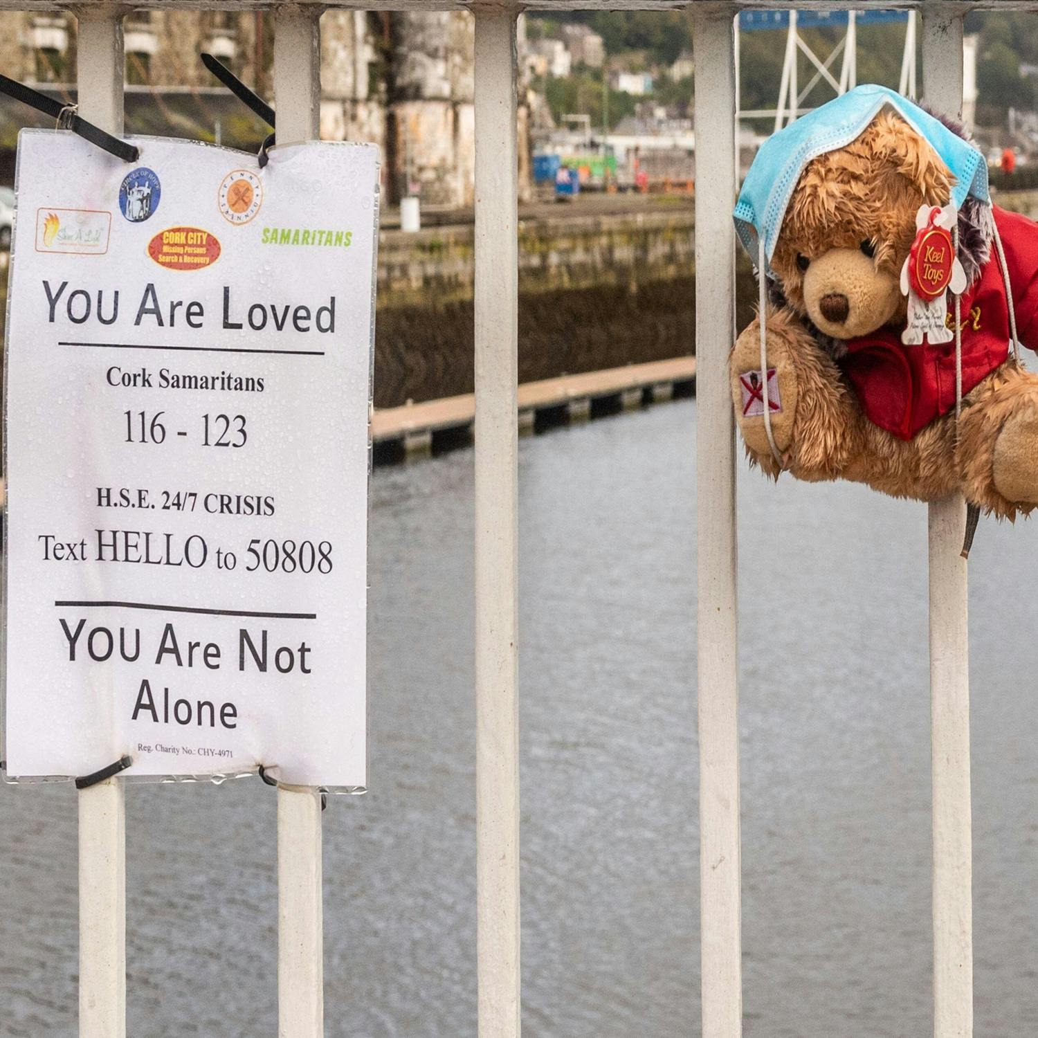 Is the government doing enough to provide mental health supports ?