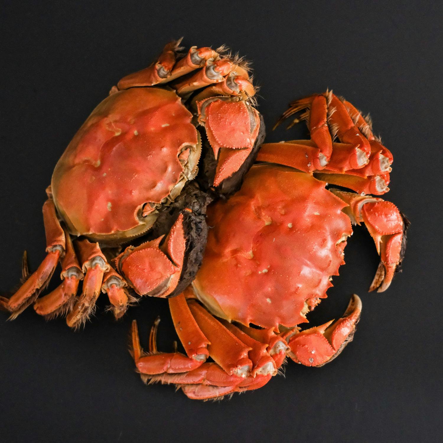 A study of bygone seafood recipes